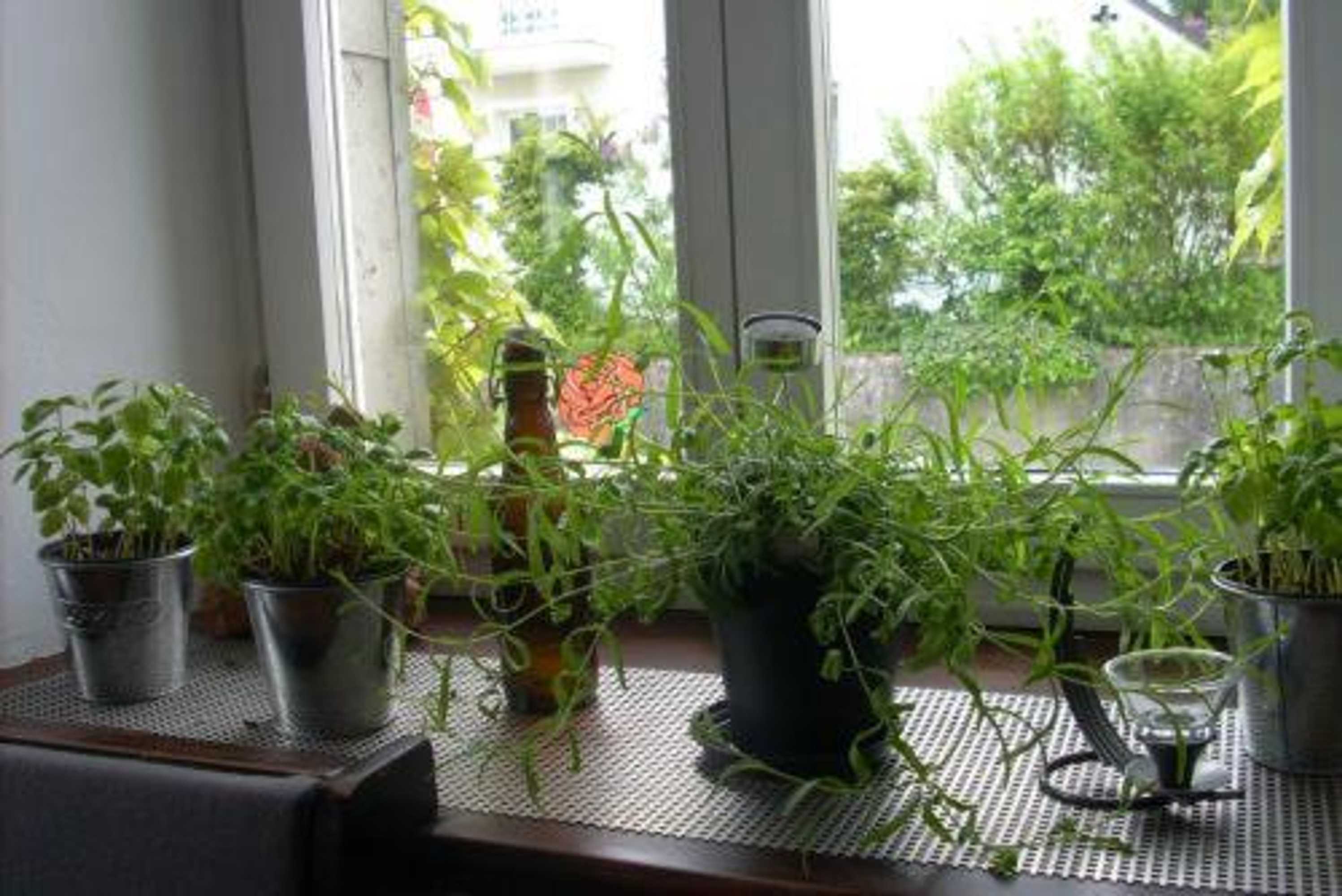 Gift card for Hotel Zur Eiche