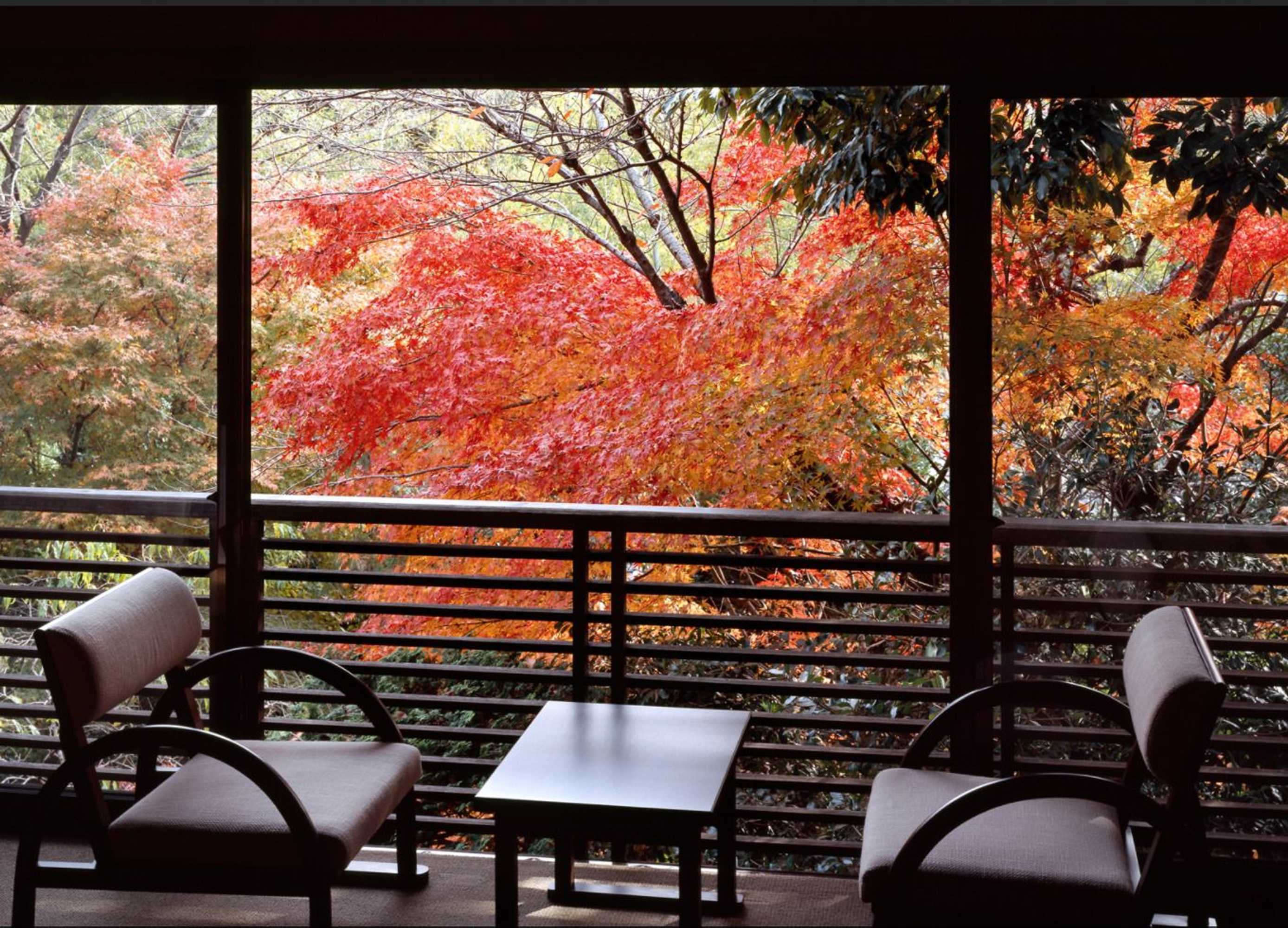 Gift card for Jinya Ryokan Gift card for Jinya Ryokan