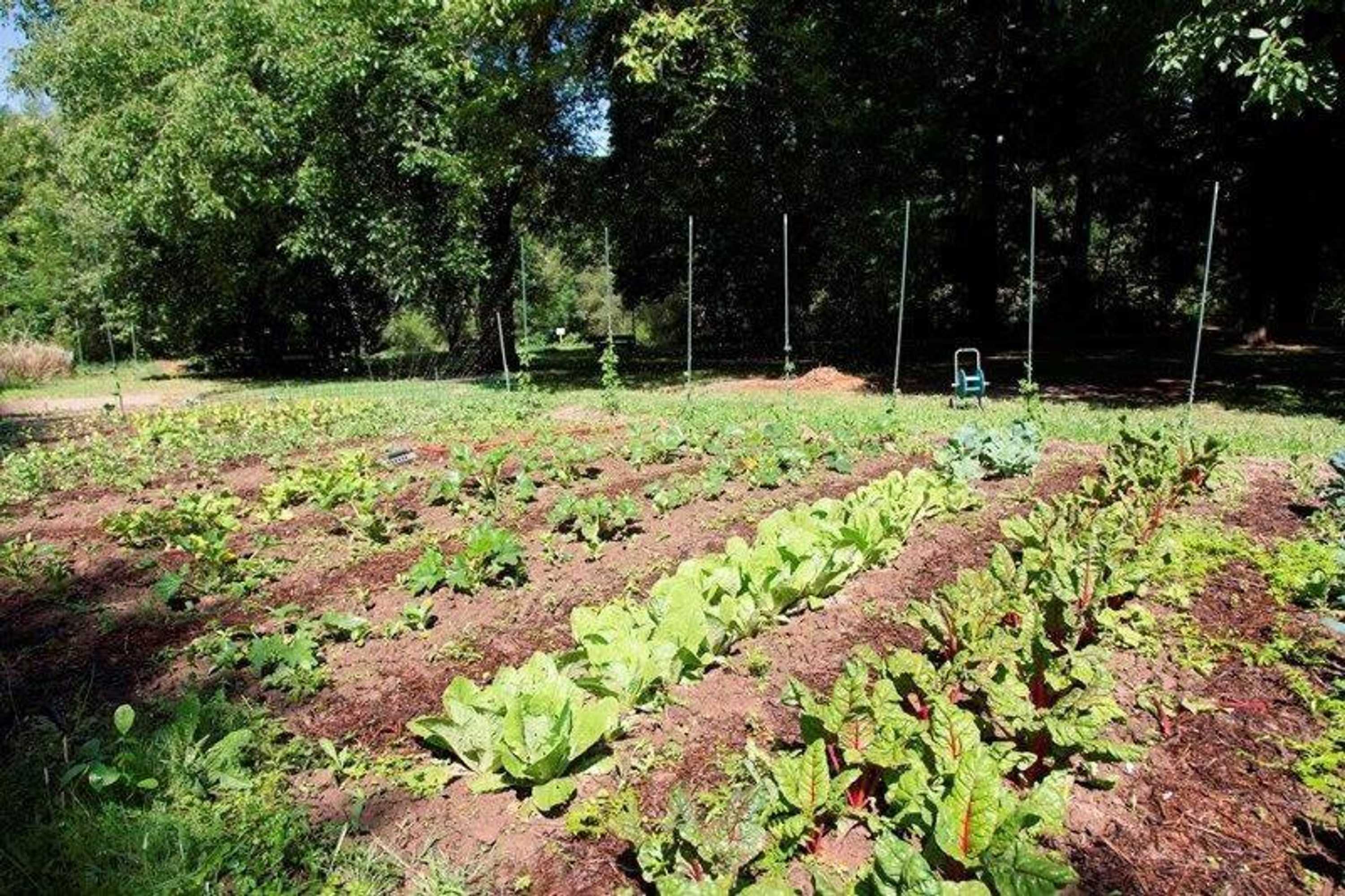 Gift card for Restaurant Niedmühle Land & Genuss Hotel