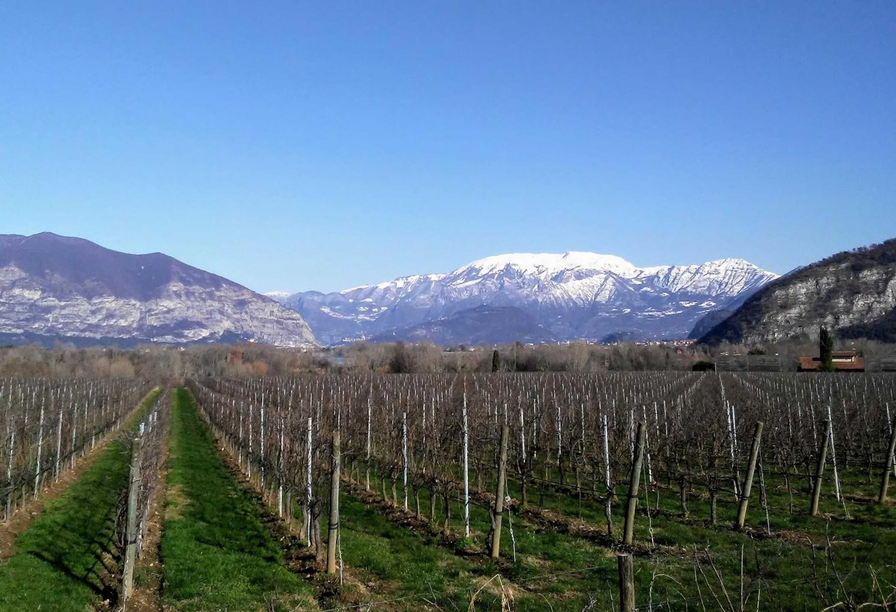 Gift card for B&b Cascina San Martino Gift card for B&b Cascina San Martino