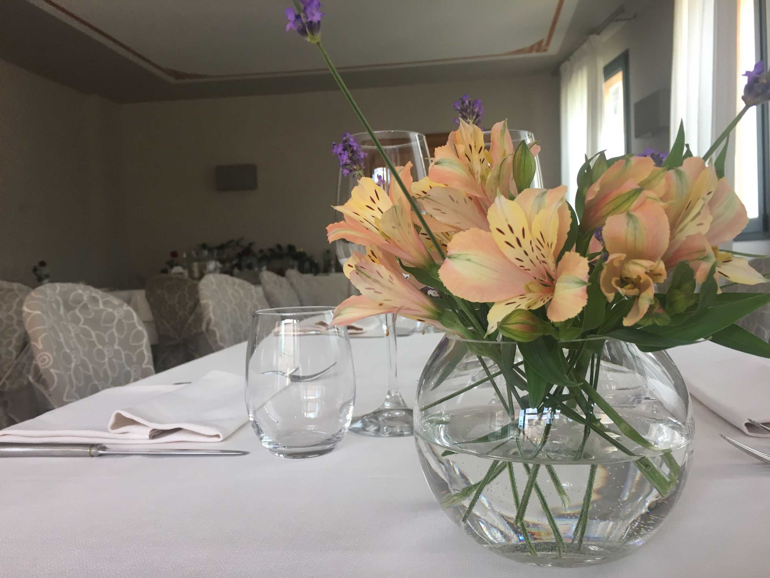 Gift card for Wine Hotel San Giacomo Activity & Wellness Gift card for Wine Hotel San Giacomo Activity & Wellness