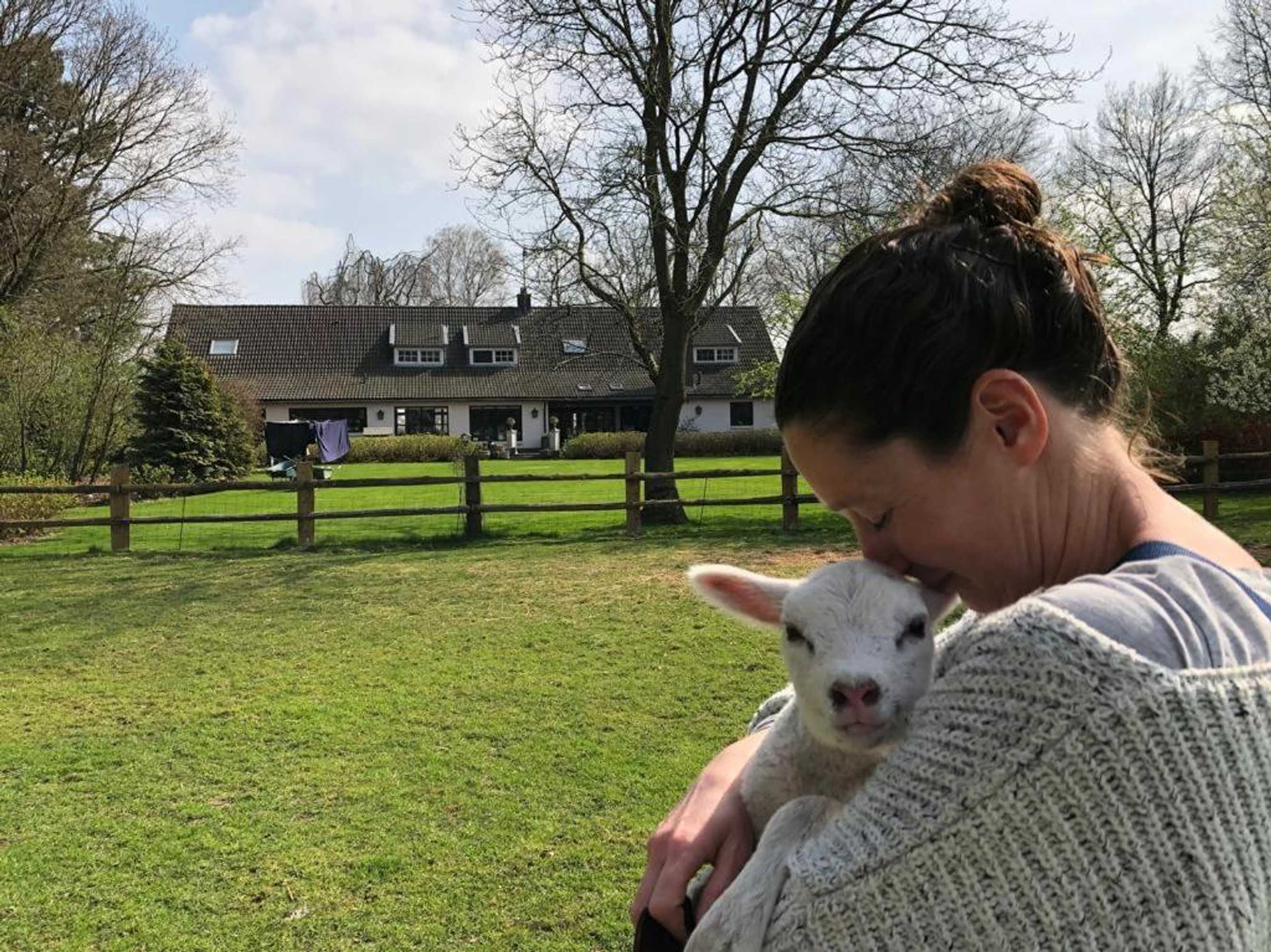 Gift card for Het Geheim Van Merselo