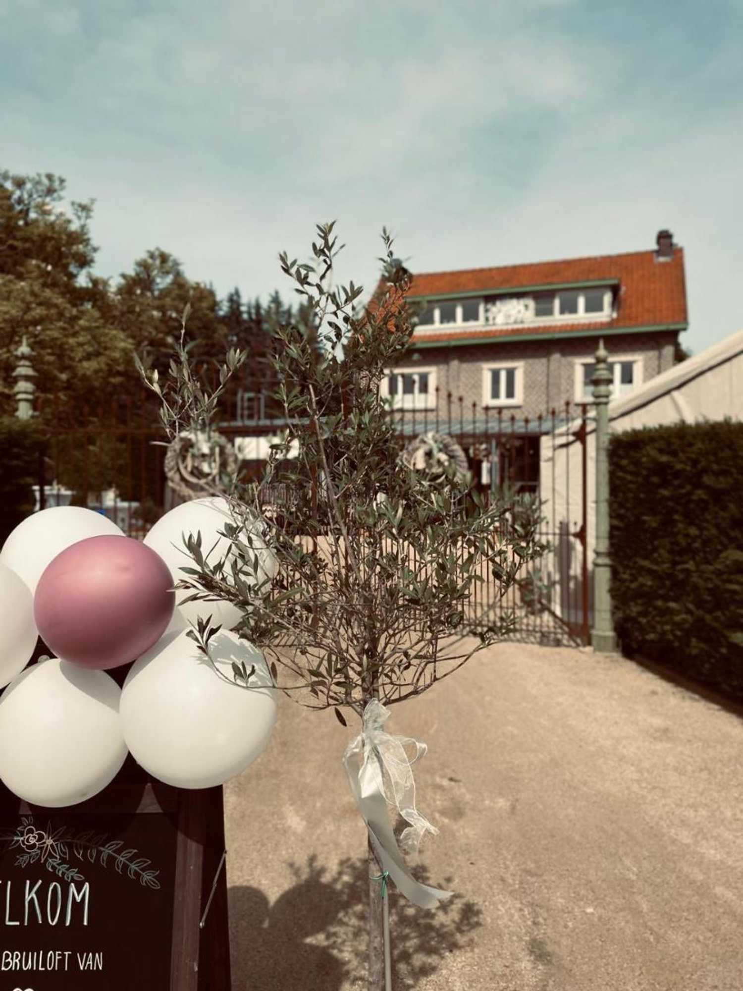 Gift card for Guesthouse 't Goed Leven