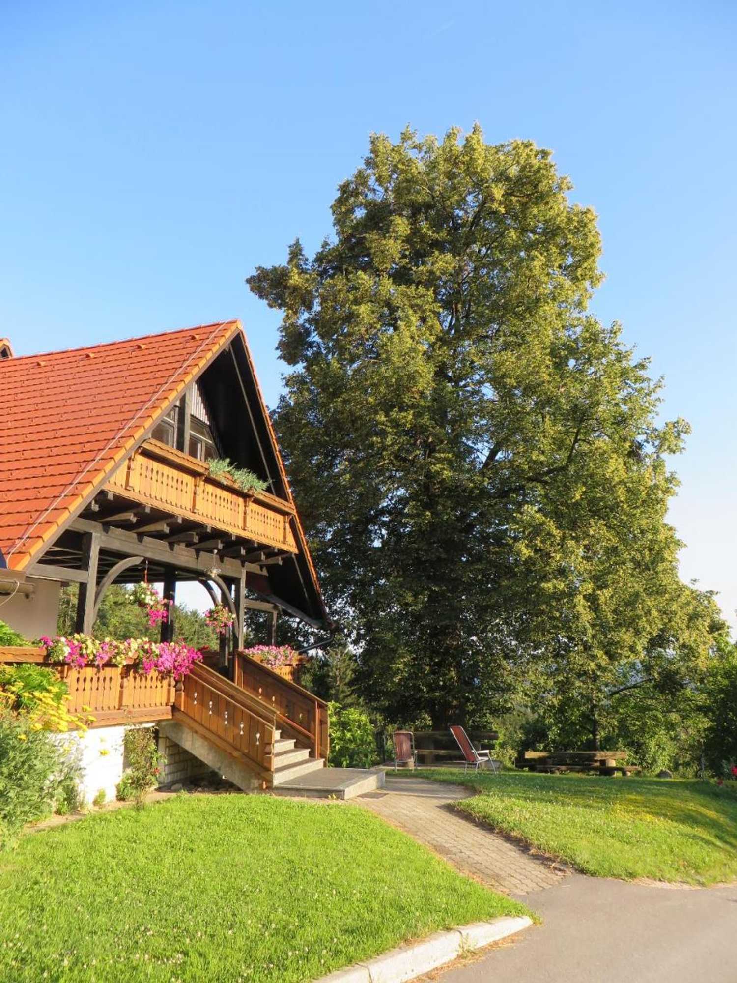 Gift card for Country House Apat