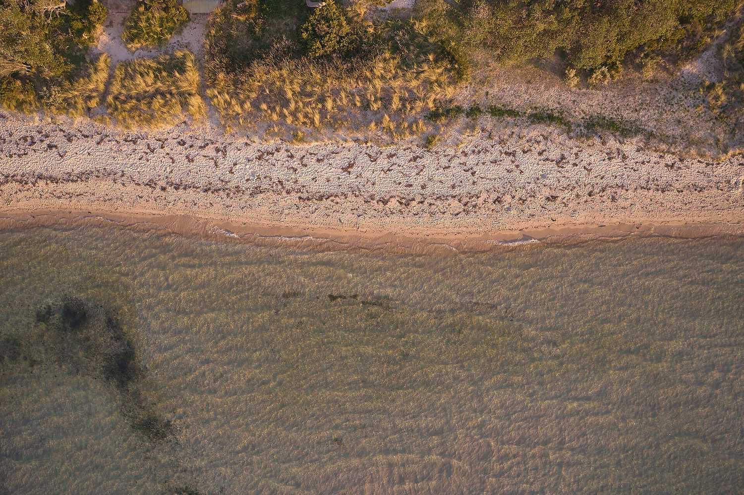 Gift card for Rye Beach Motel Australia