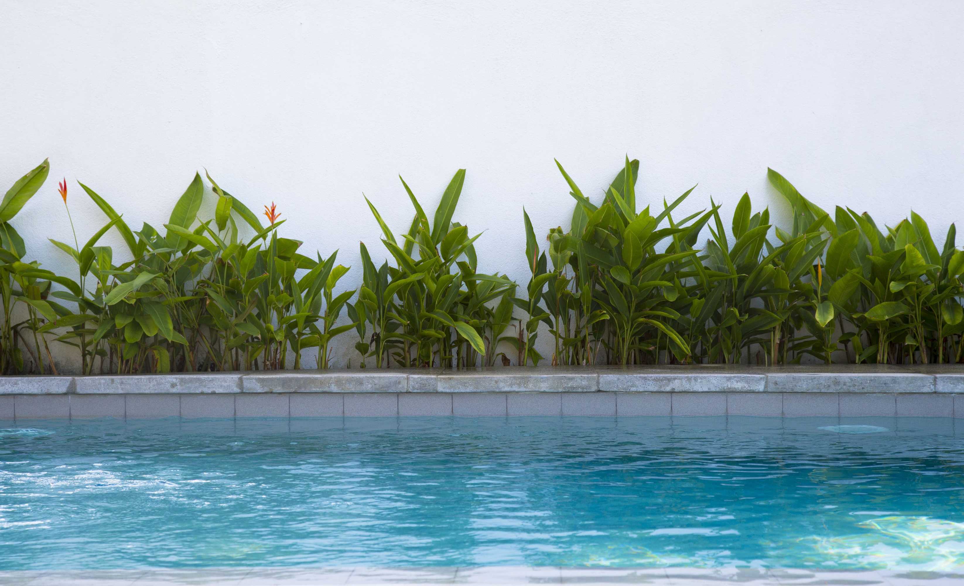 Gift card for Arabella on Boossa