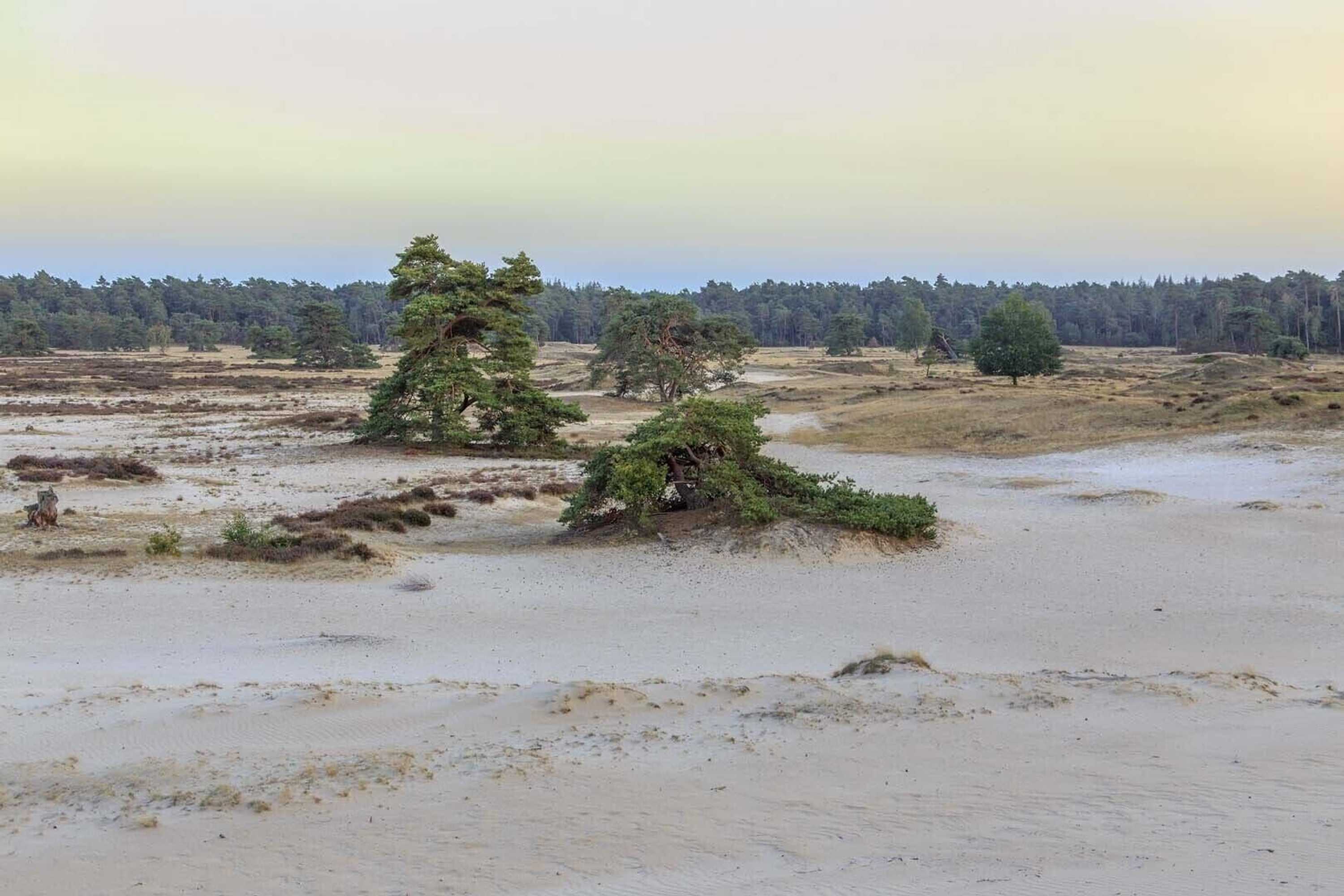Gift card for Veluwe Hotel De Beyaerd