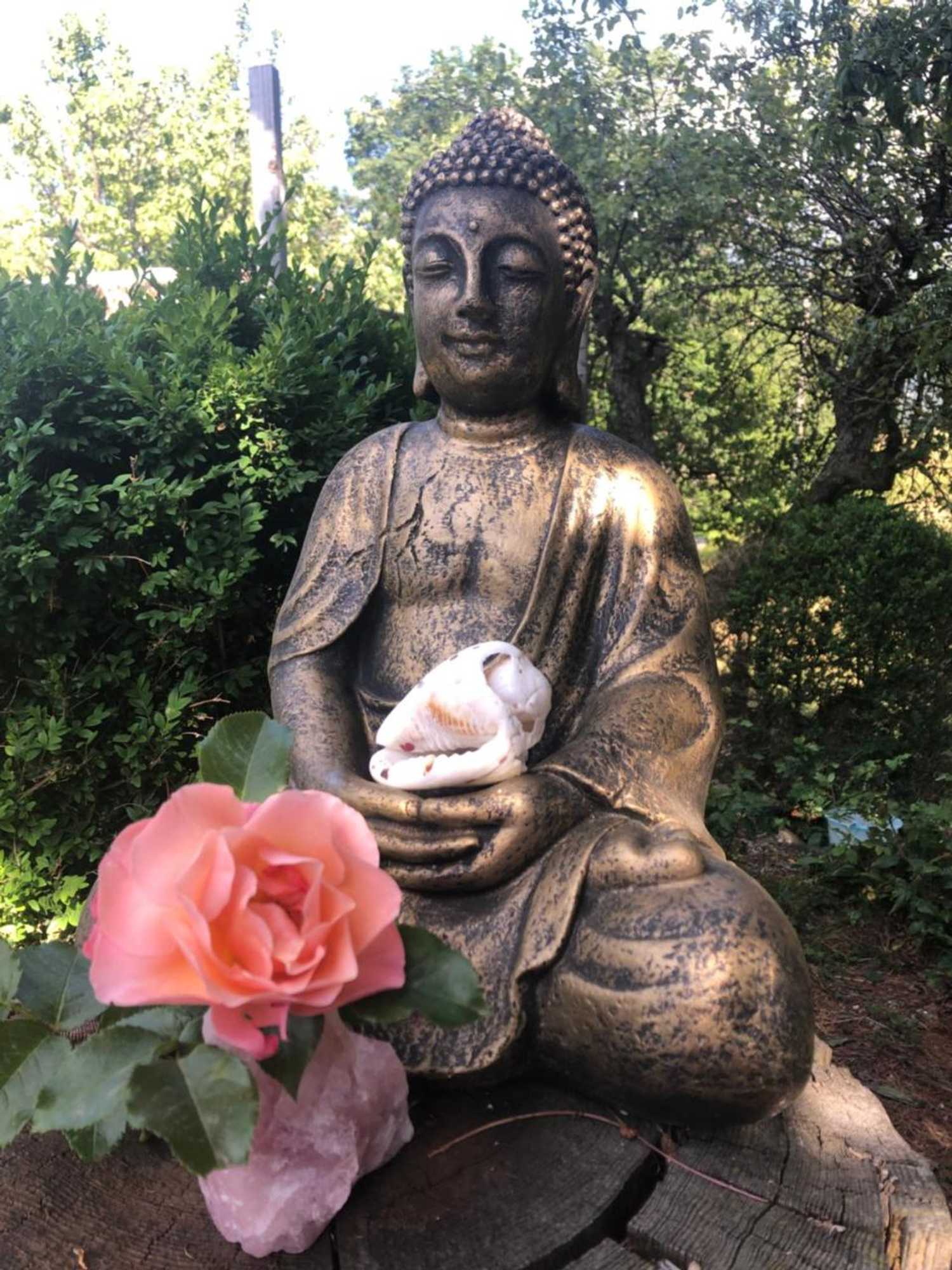 Gift card for Bellevie Bnb