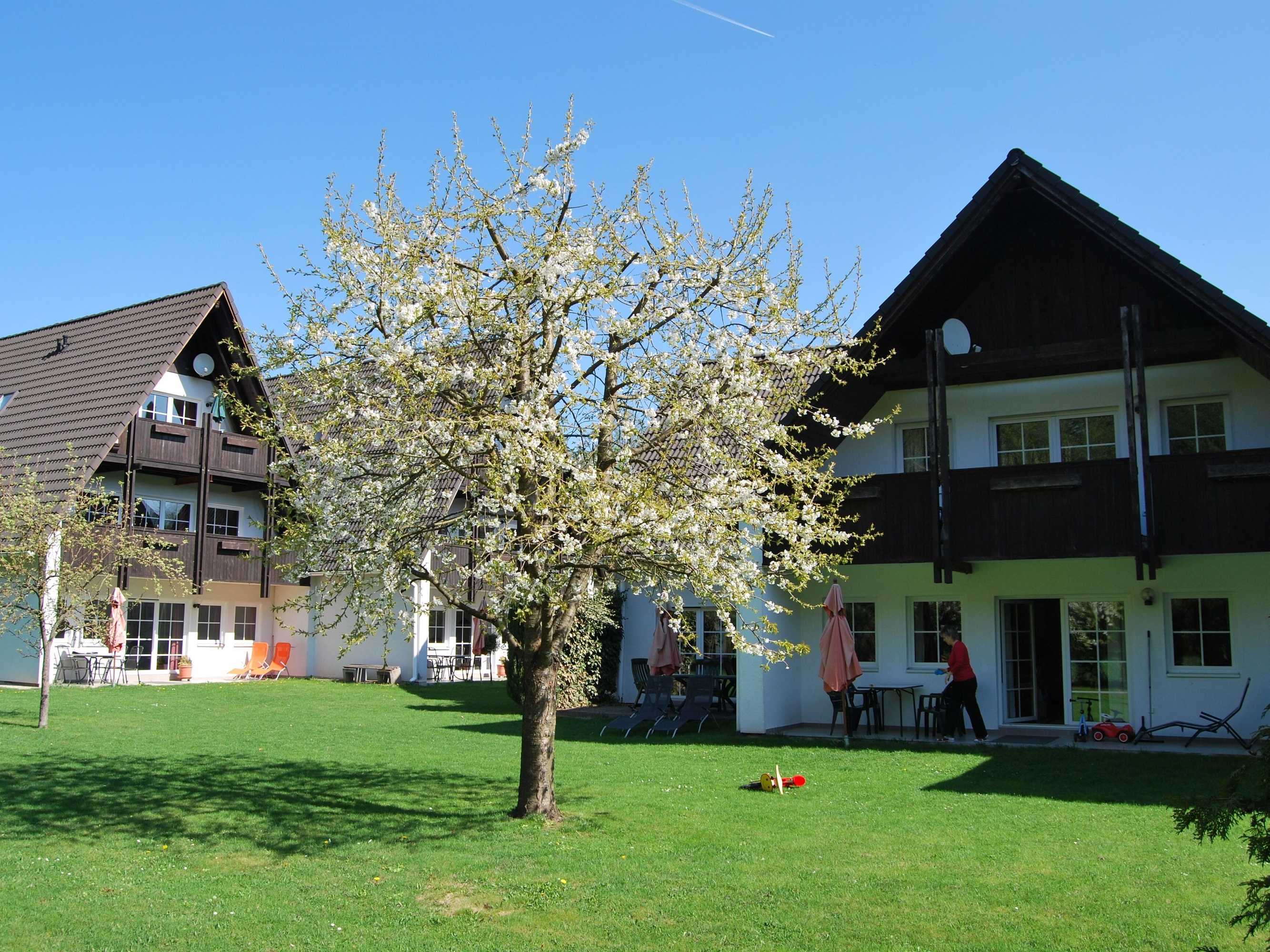 Gift card for Ferienwohnung Stricker Harz