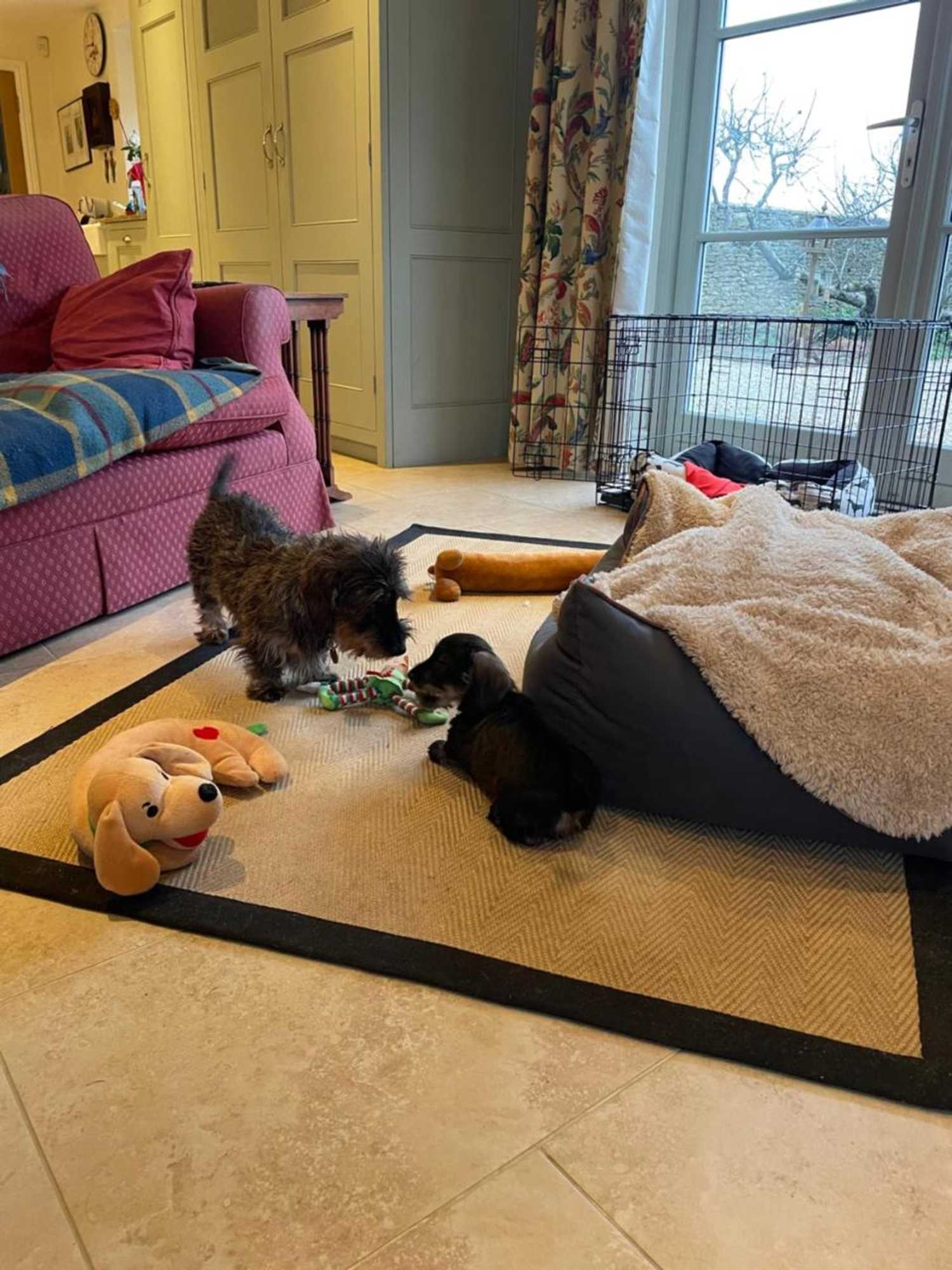 Gift card for Field End House Strawberry Lane Meysey Hampton