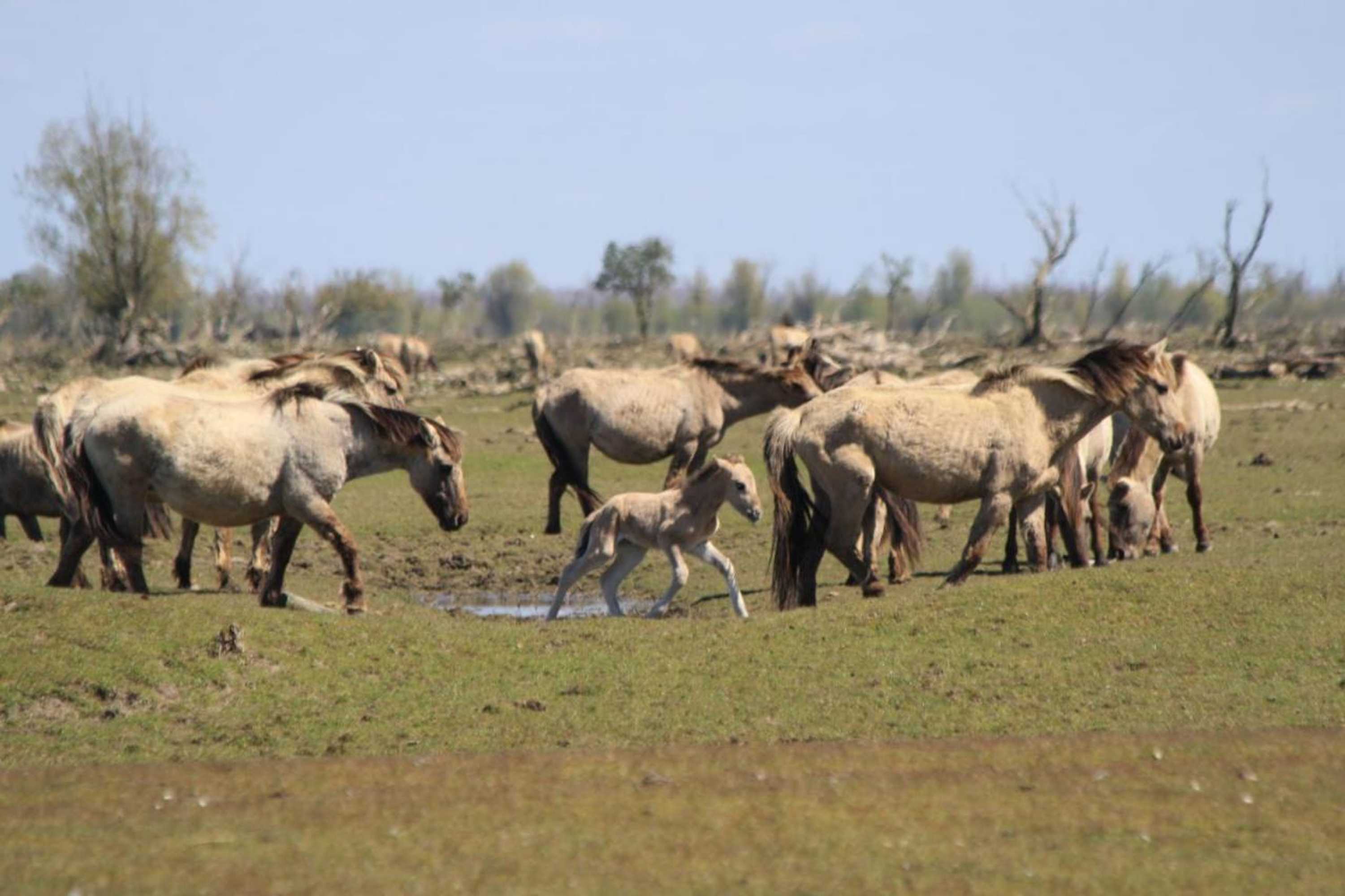 Gift card for Casa Mirador Almere