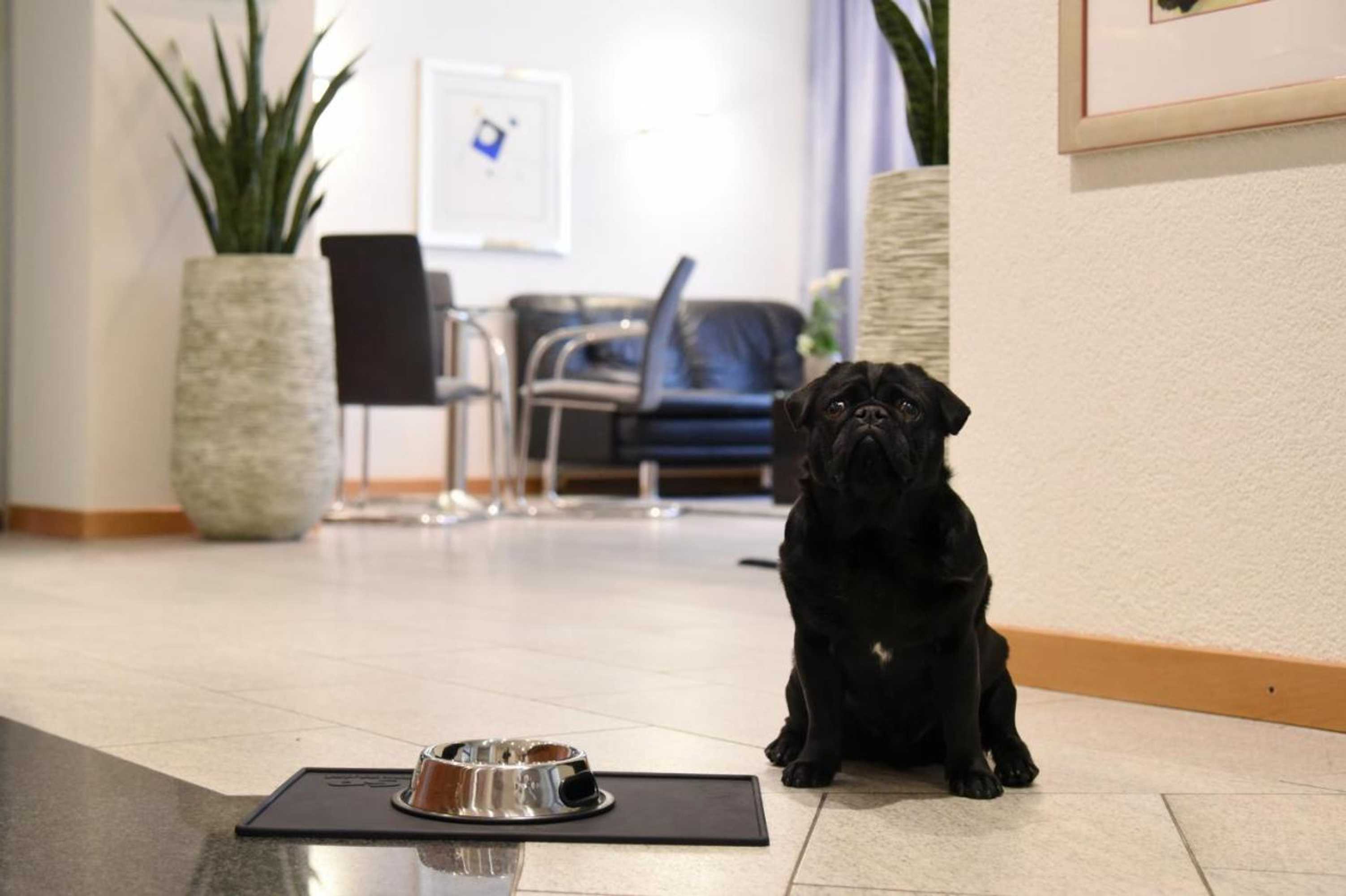 Gift card for Hotel Engel