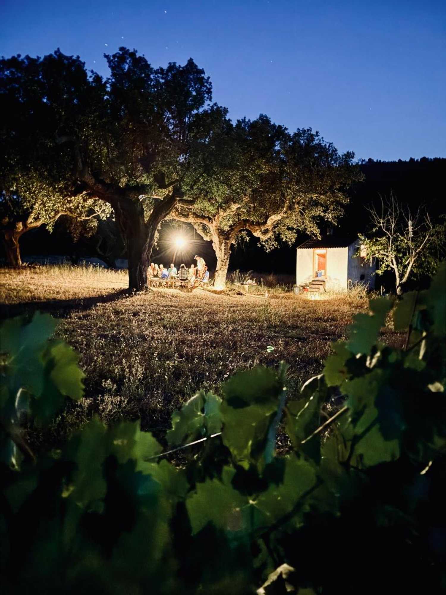 Gift card for Salto Del Caballo