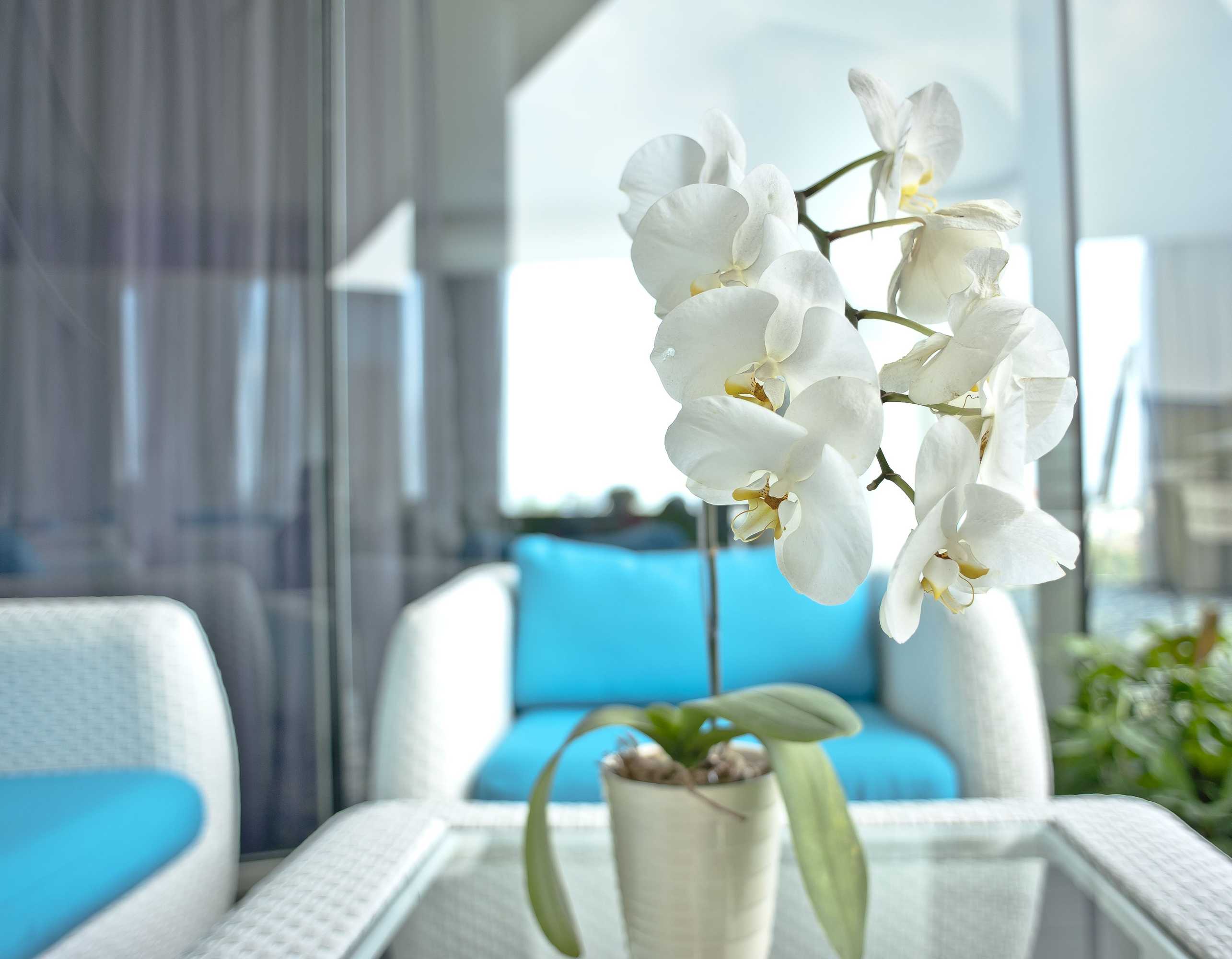 Gift card for Sensa Hotel Gift card for Sensa Hotel