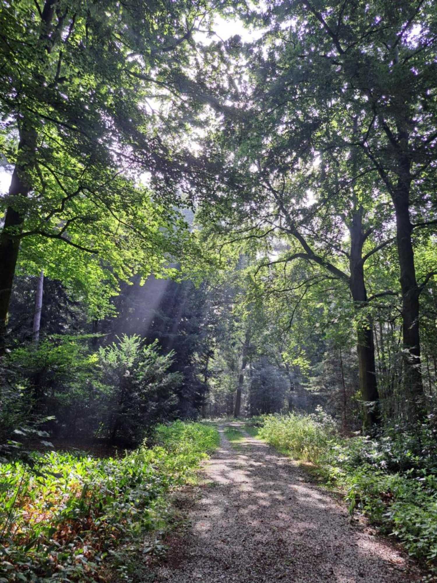 Gift card for De Stippelberg