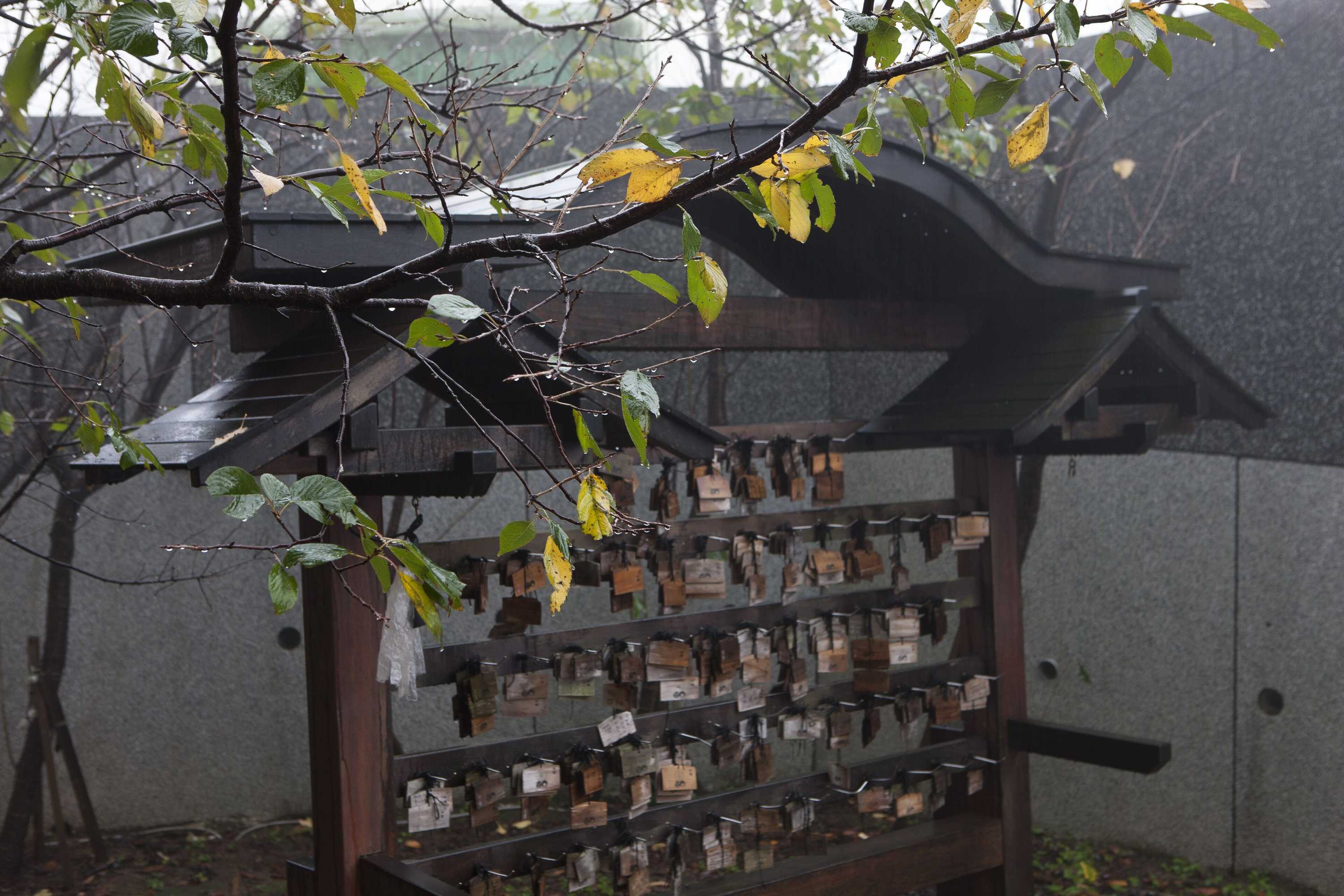 Gift card for Jia Xin Hot Spring Resort Yangming Shan