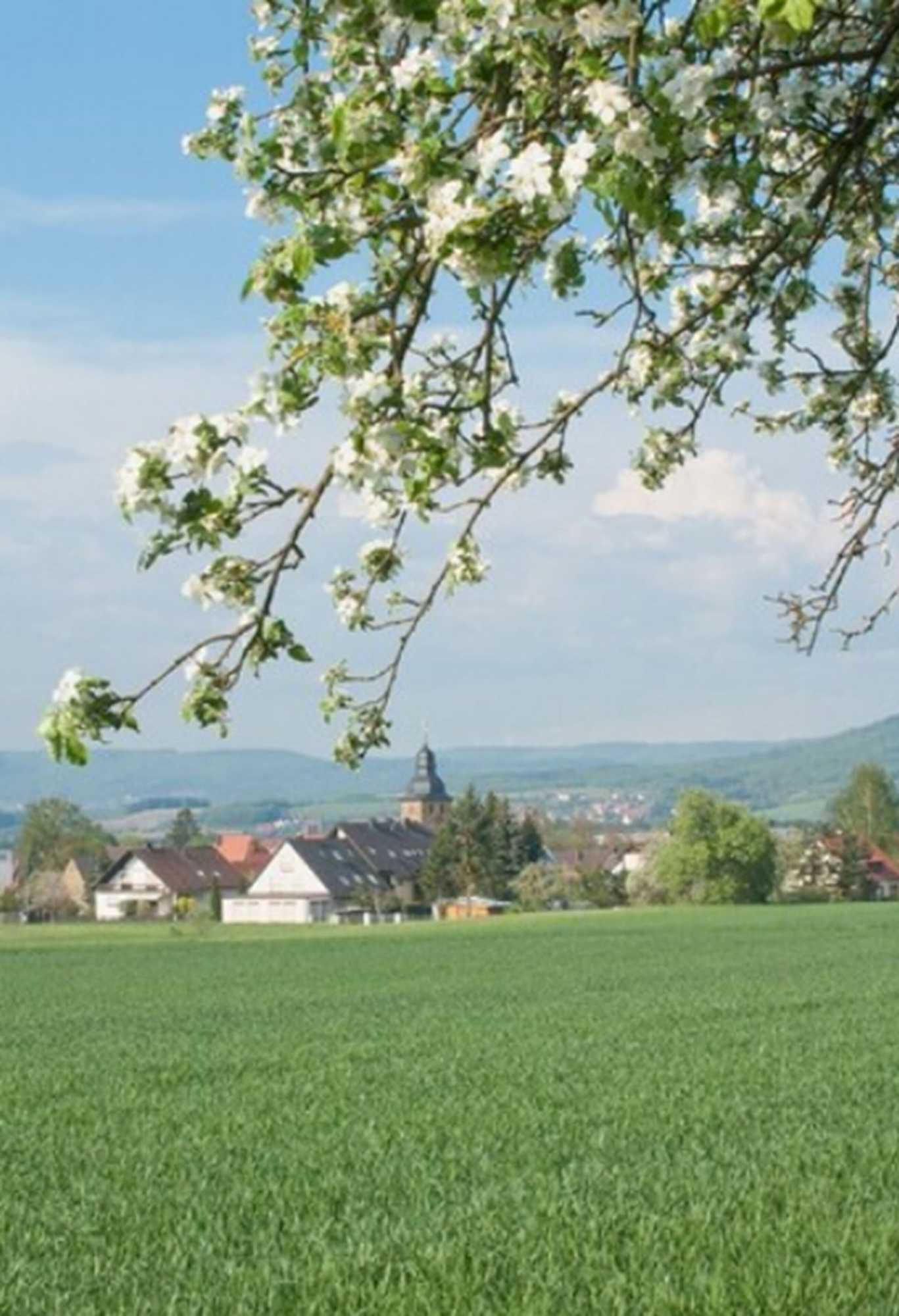 Gift card for Annas Gästehaus