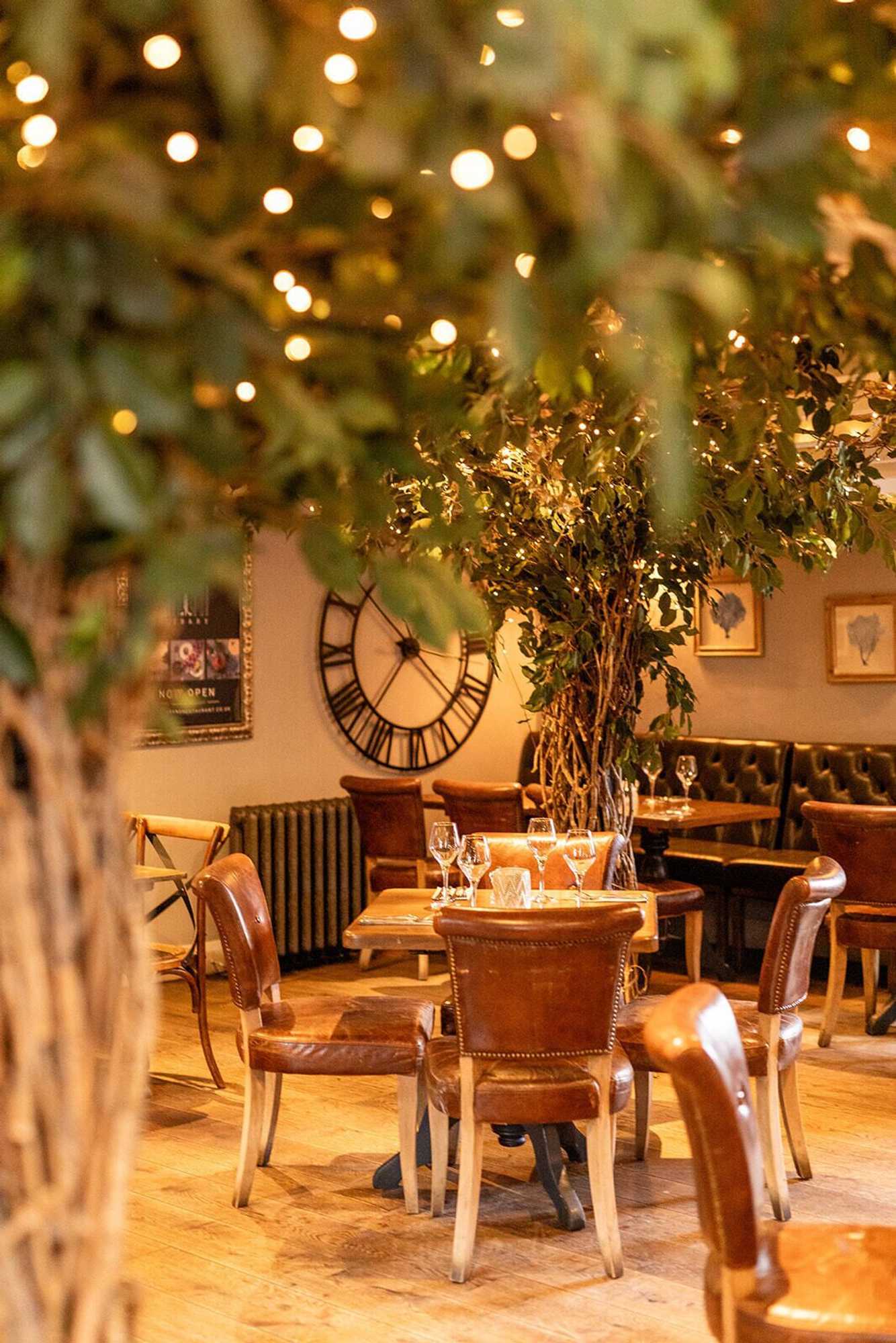 Gift card for The Dragon Willington