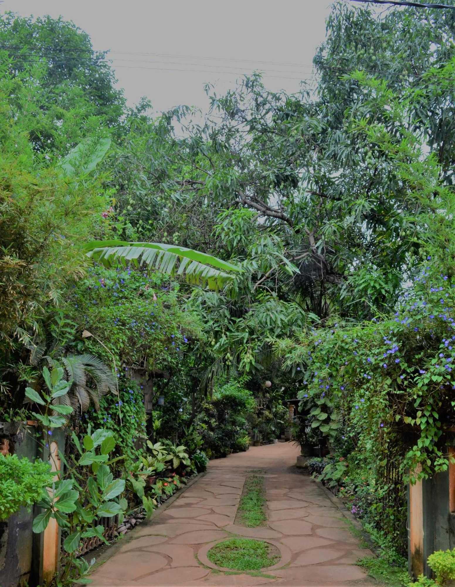 Gift card for Green Garden Resort