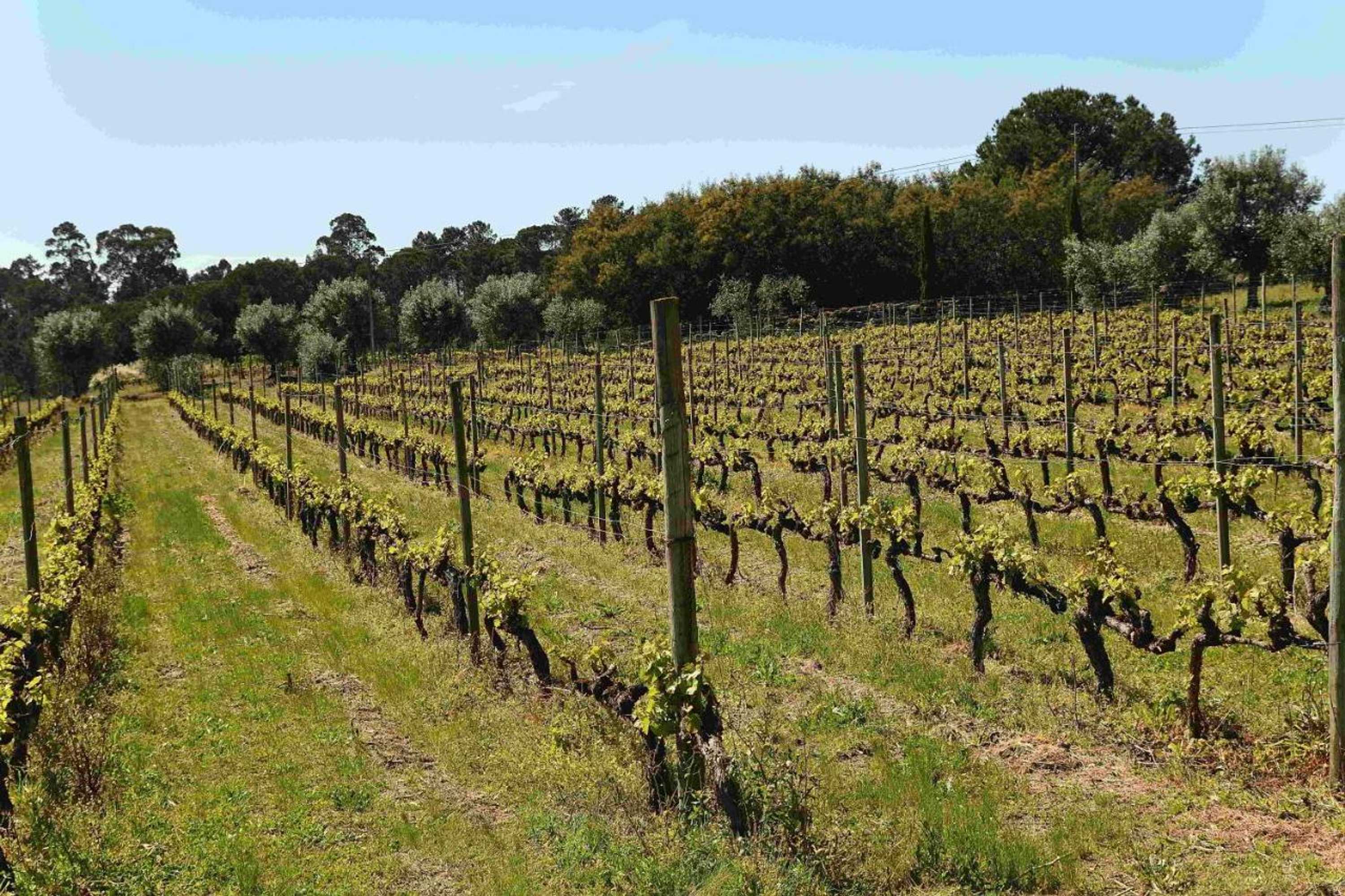 Gift card for Quinta da Fata