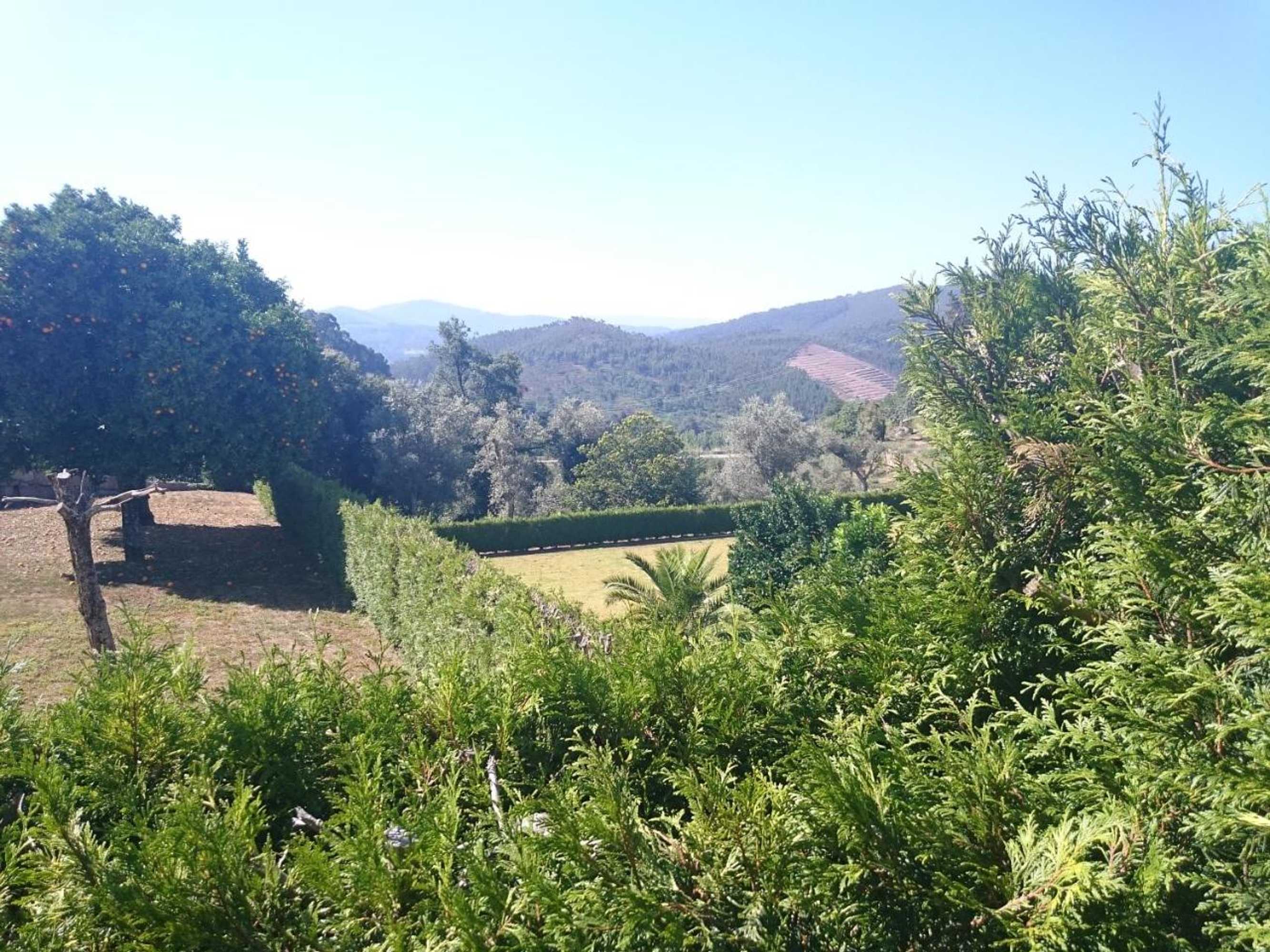 Gift card for Solar Guesthouse Olival da Vinha Gift card for Solar Guesthouse Olival da Vinha