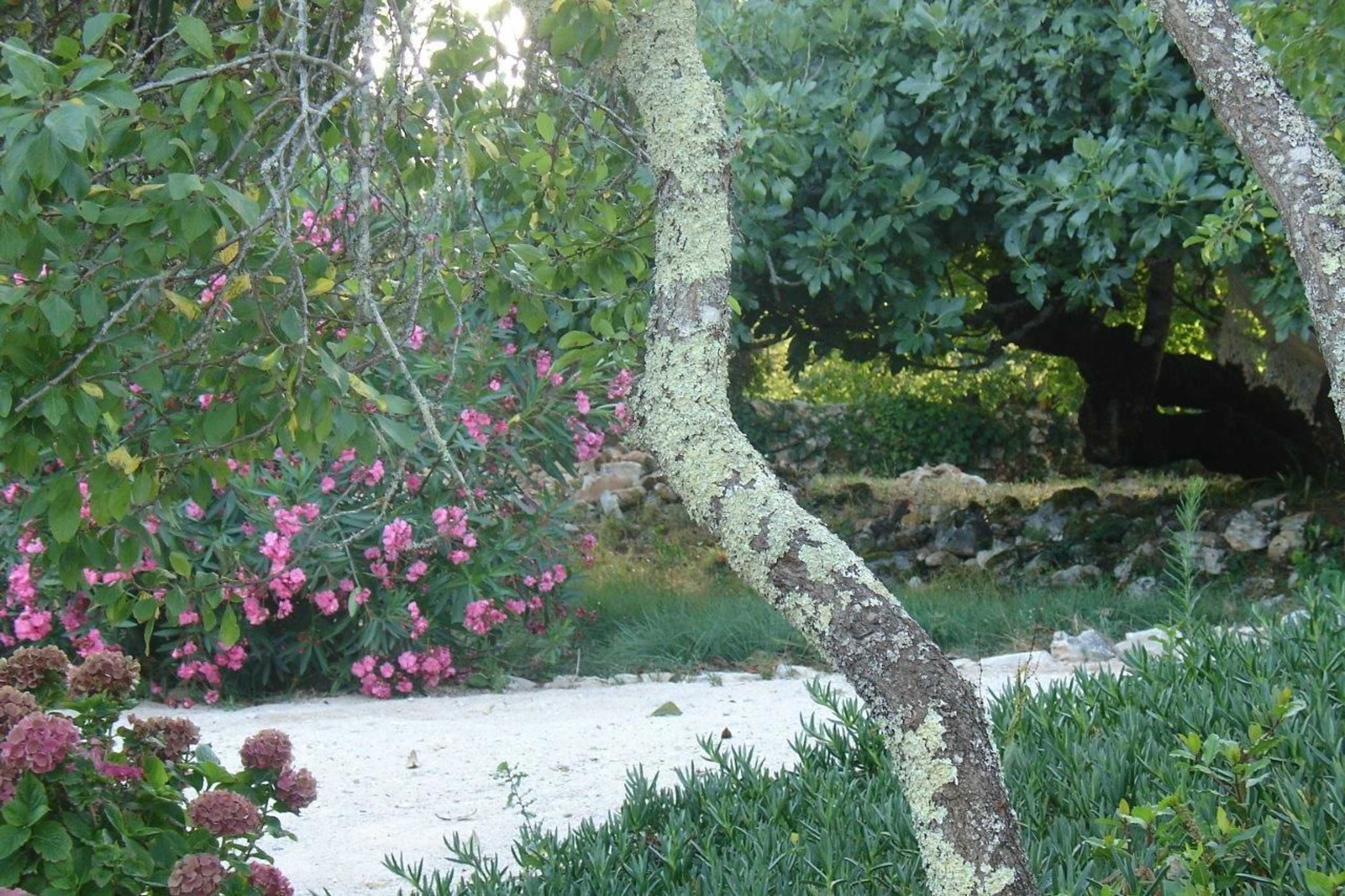 Gift card for Otium Country House Gift card for Otium Country House