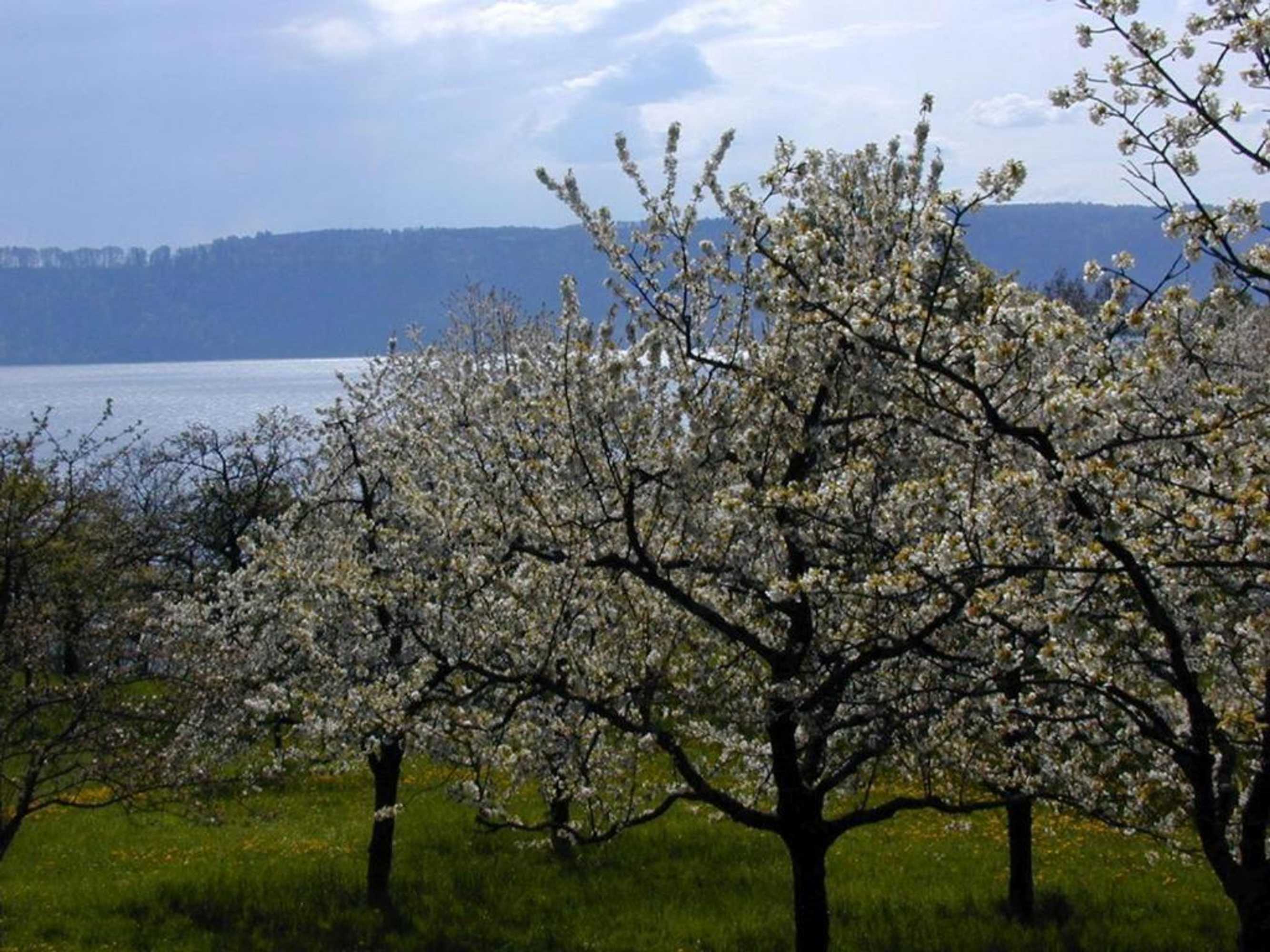 Gift card for Gästehaus St. Martin