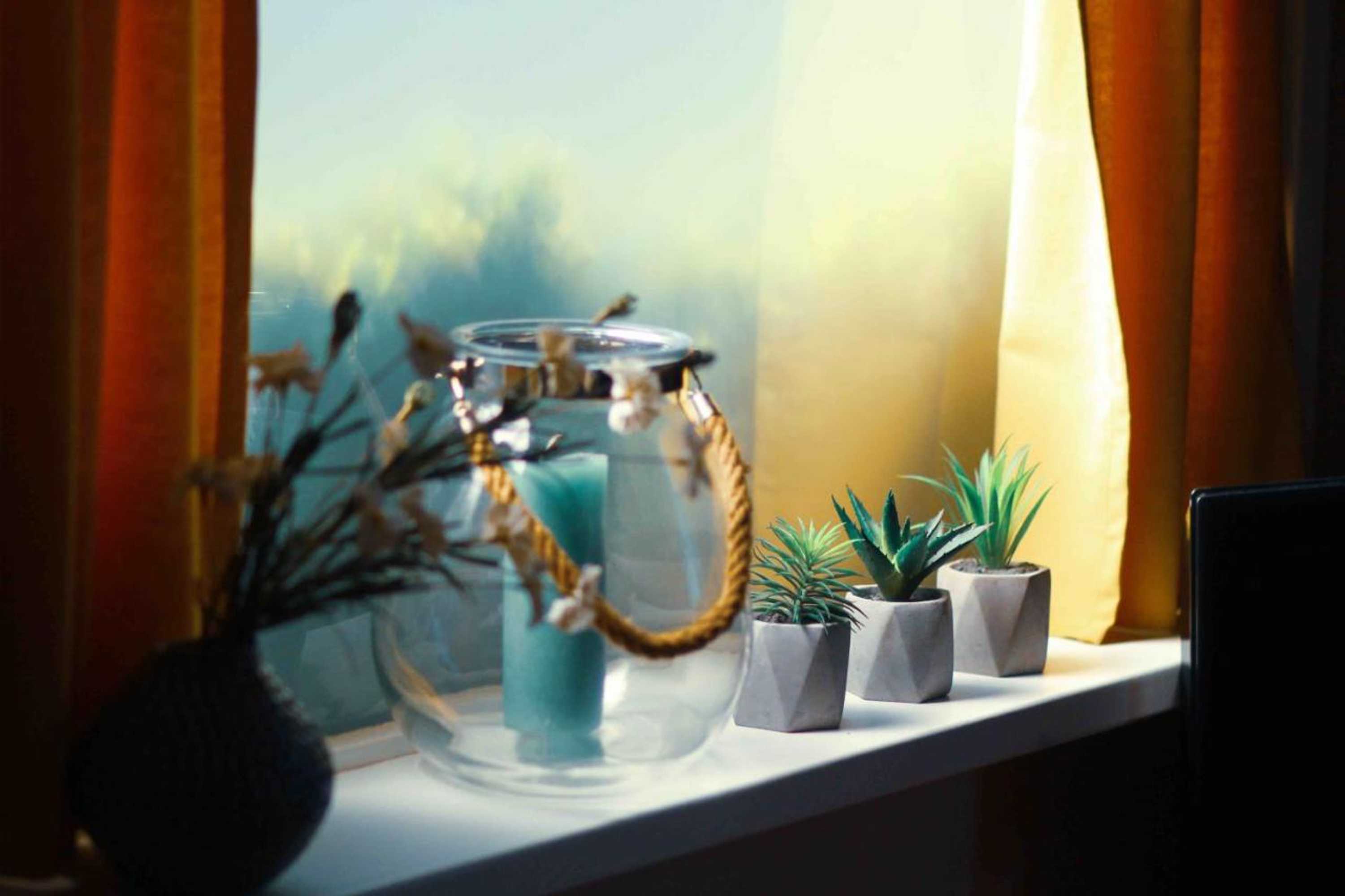 Gift card for Tulpenhuys