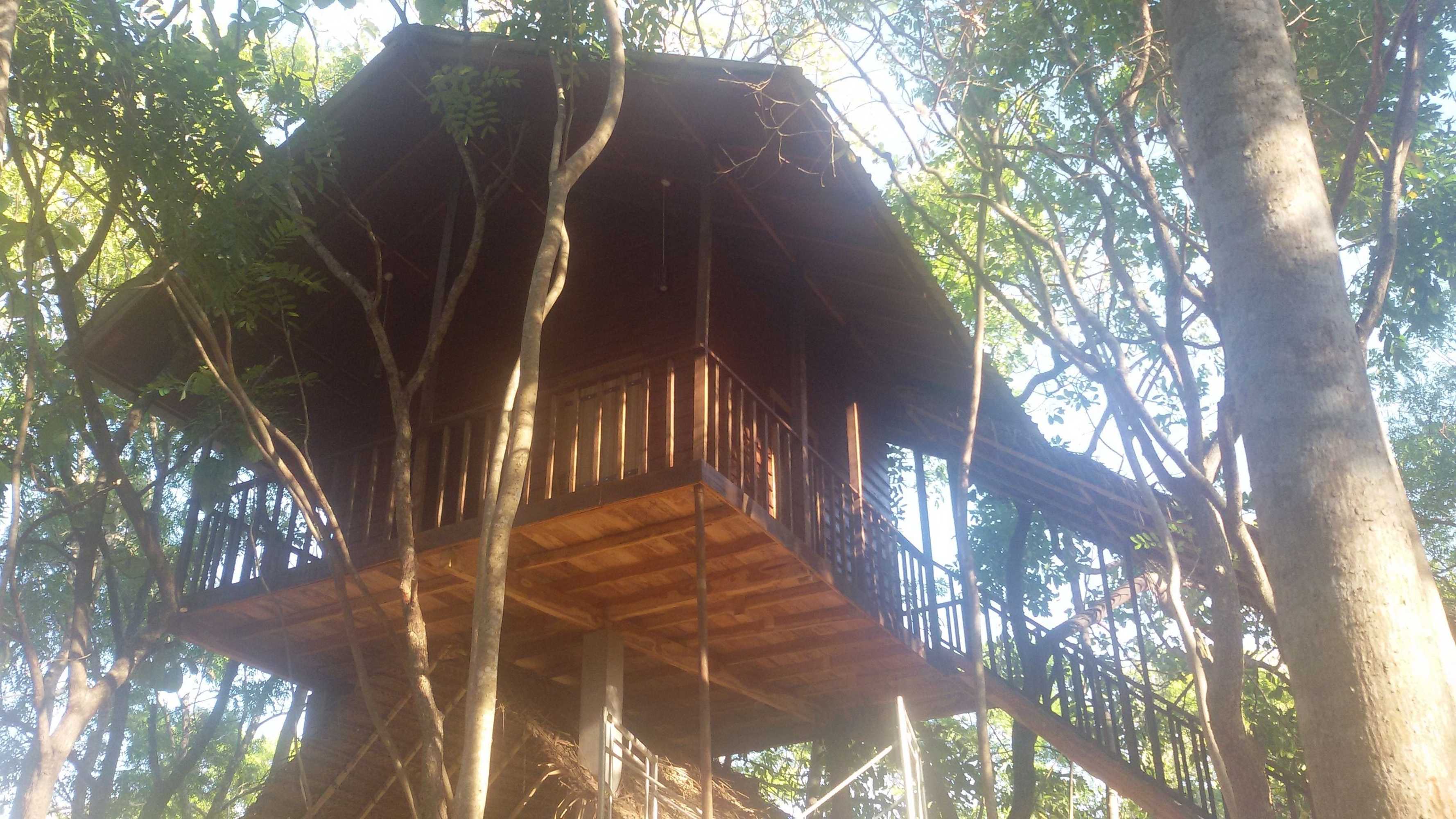 Gift card for Elephant Corridori Camping