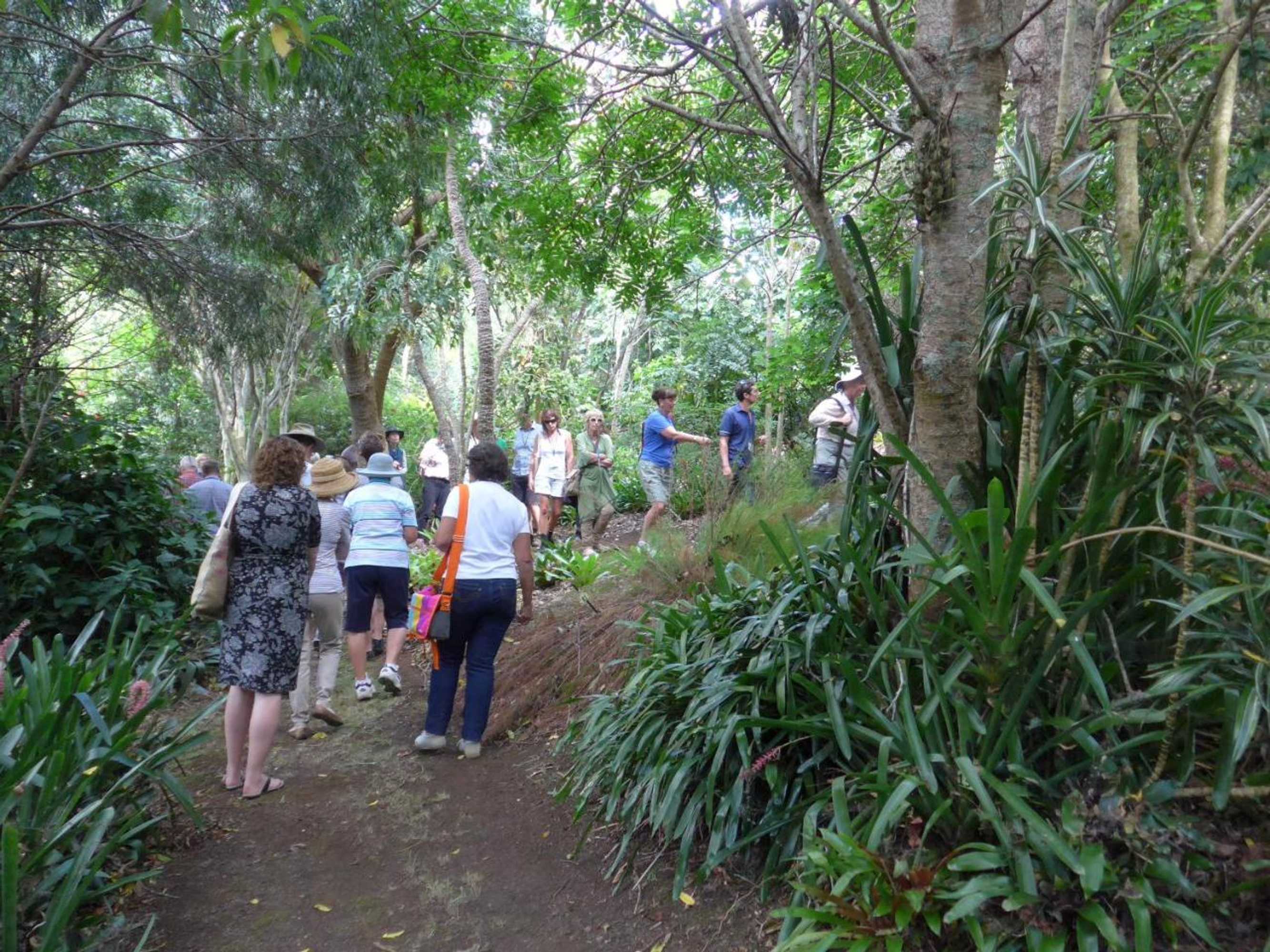 Gift card for Wharepuke Subtropical Accommodation Gift card for Wharepuke Subtropical Accommodation