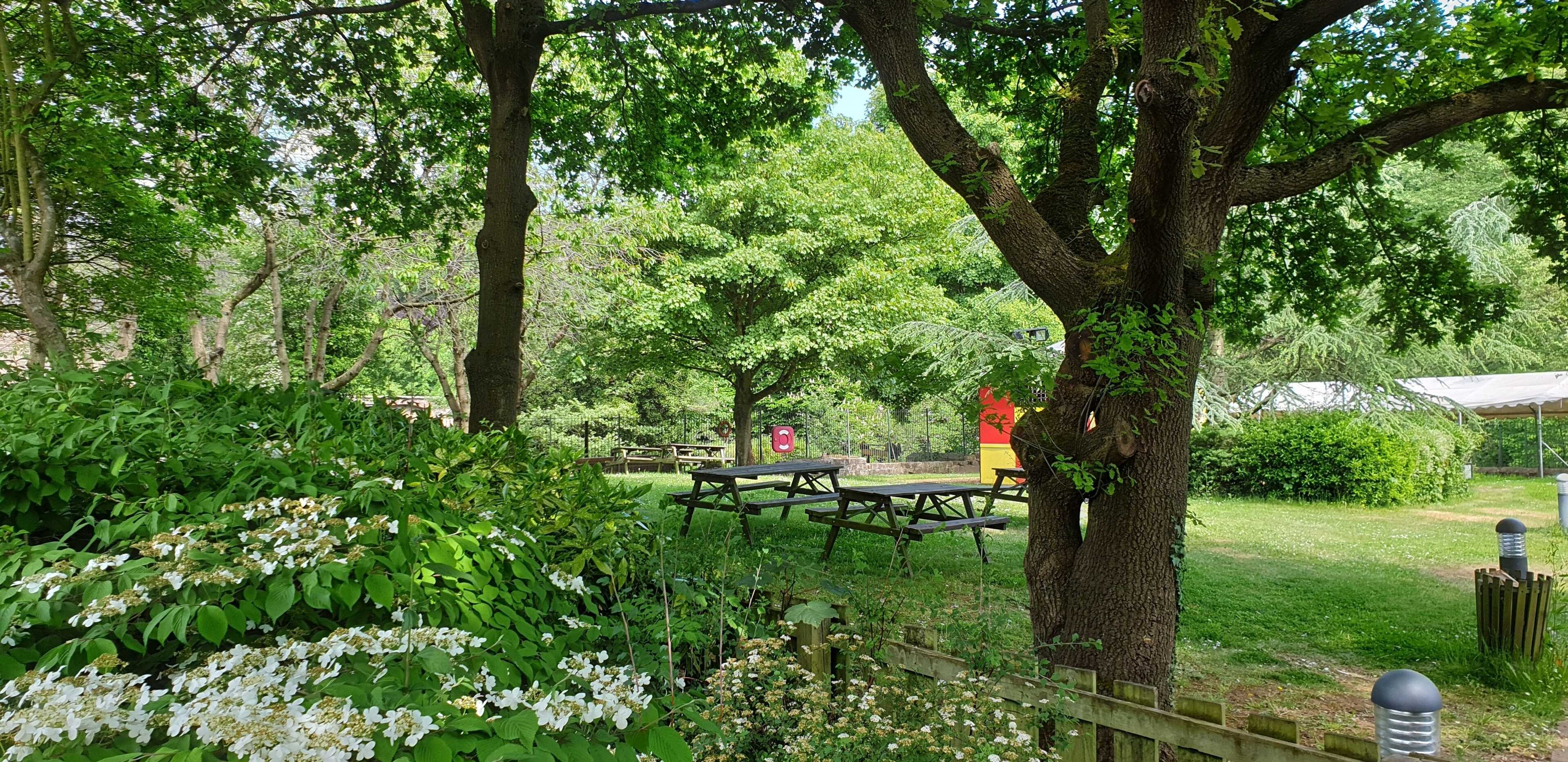 Gift card for The Strutt Arms