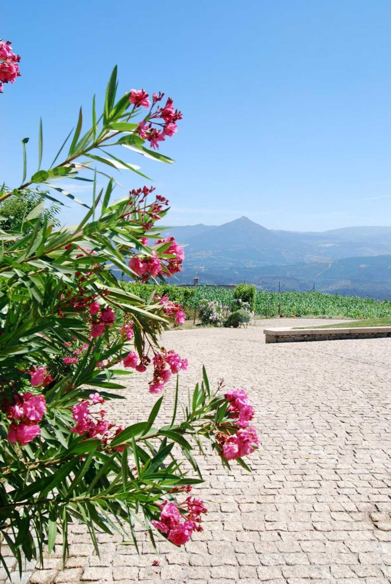 Gift card for Quinta do Alto