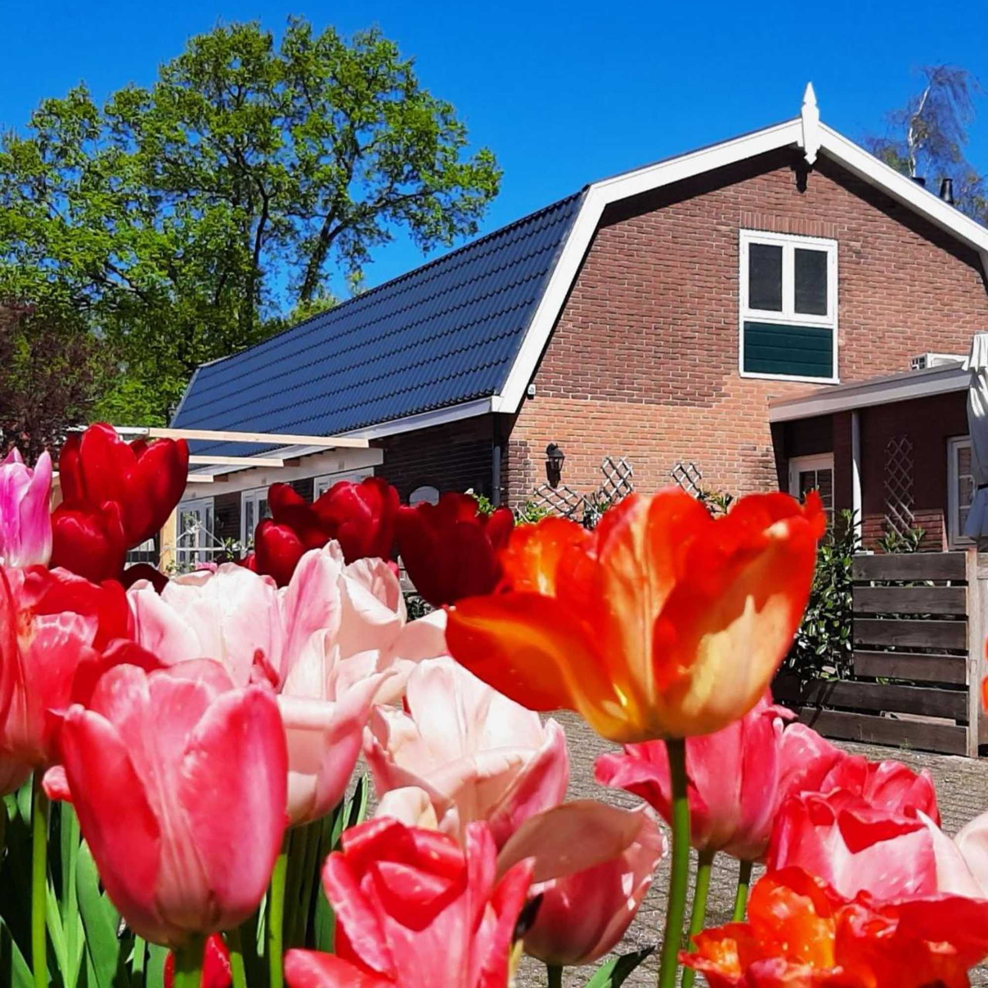 Gift card for B&b De Hoffstal