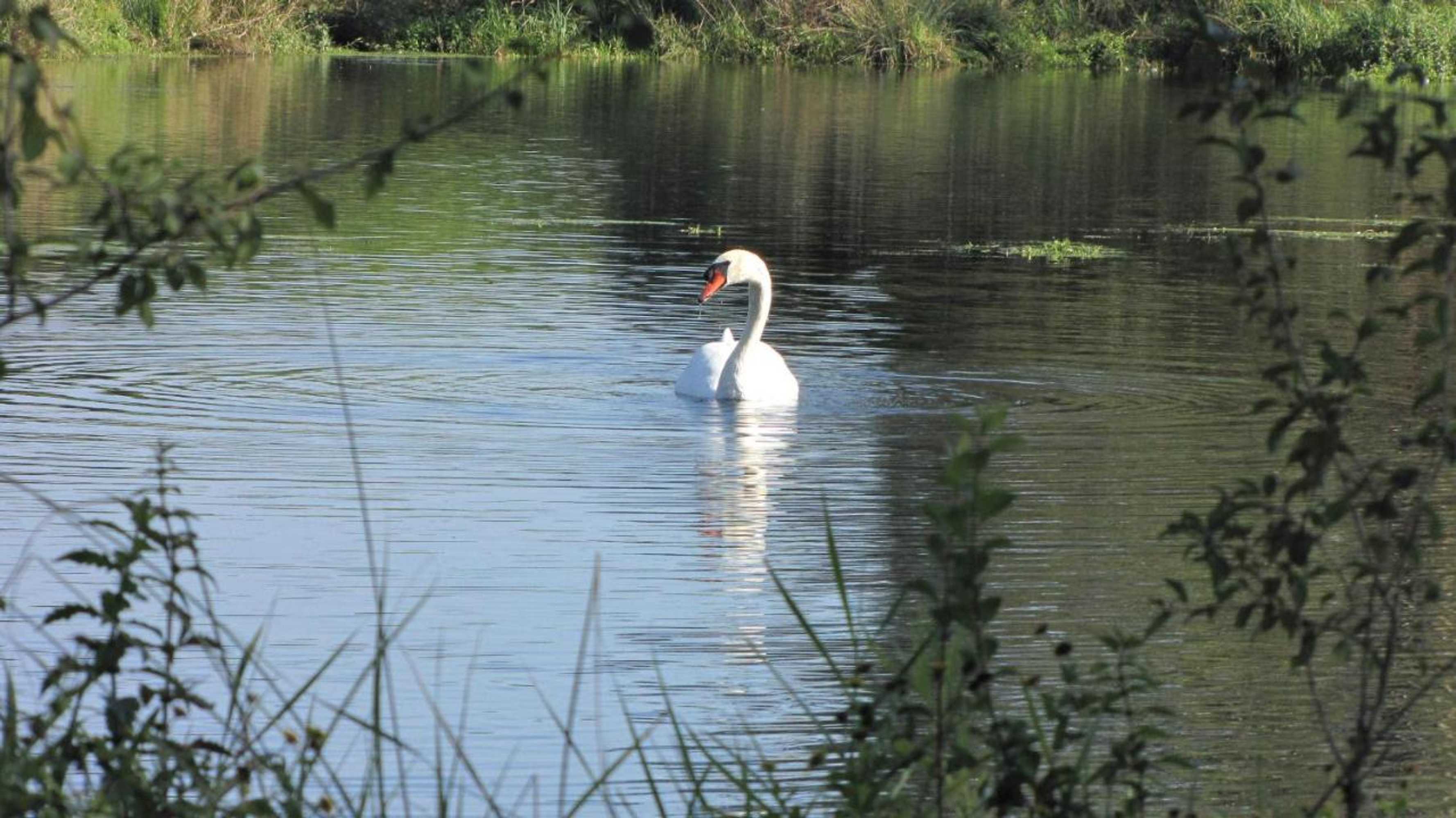 Gift card for Hotel Le Caballin