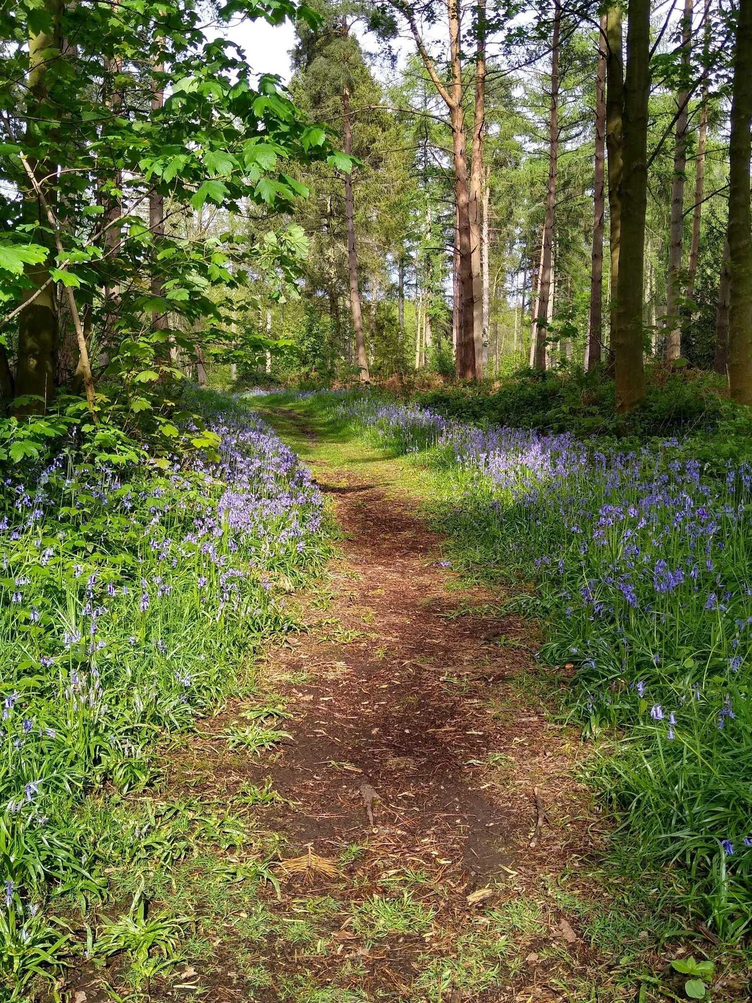 Gift card for Hollicarrs - Hares Leap