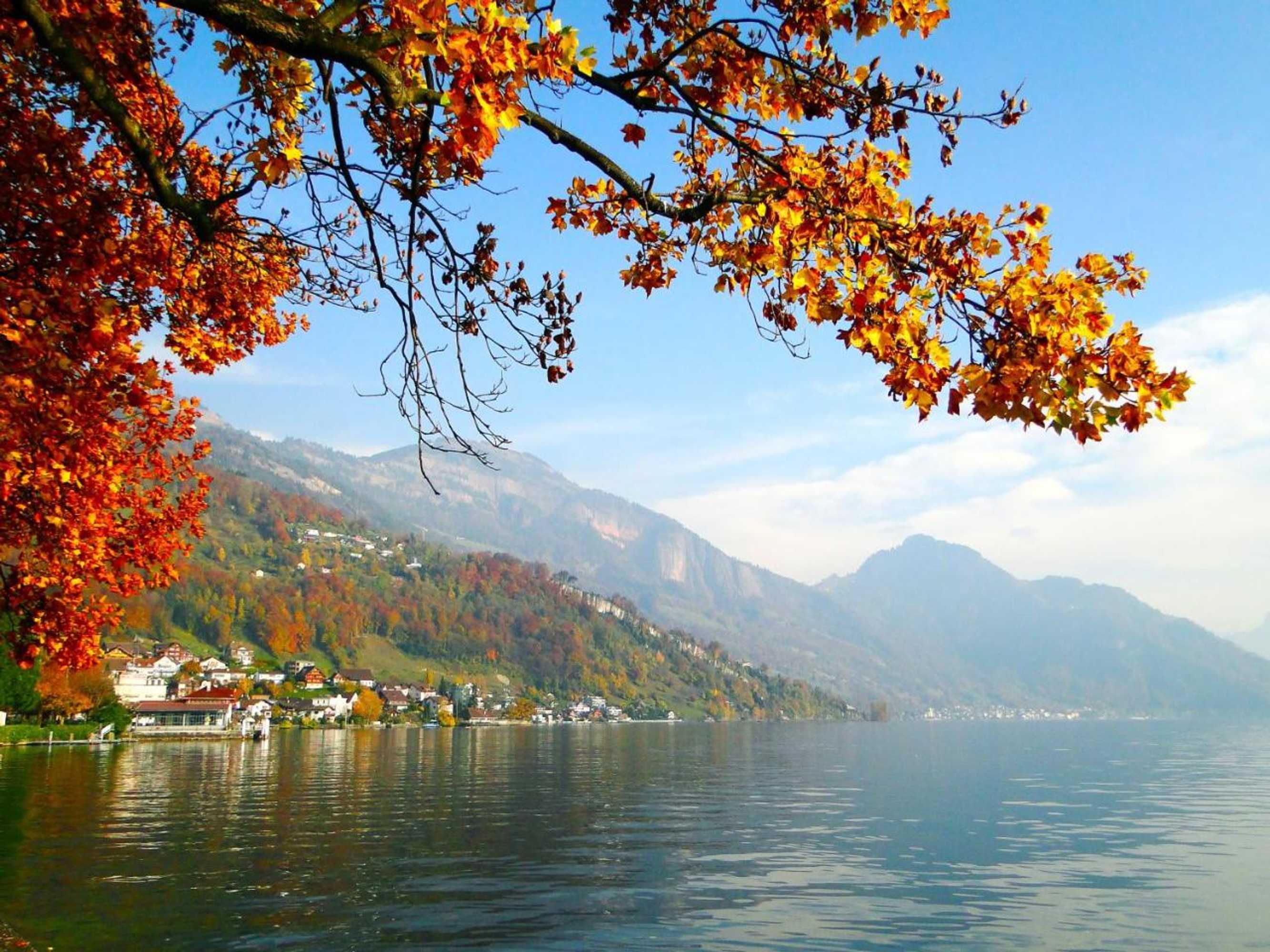 Gift card for Seehotel Gotthard