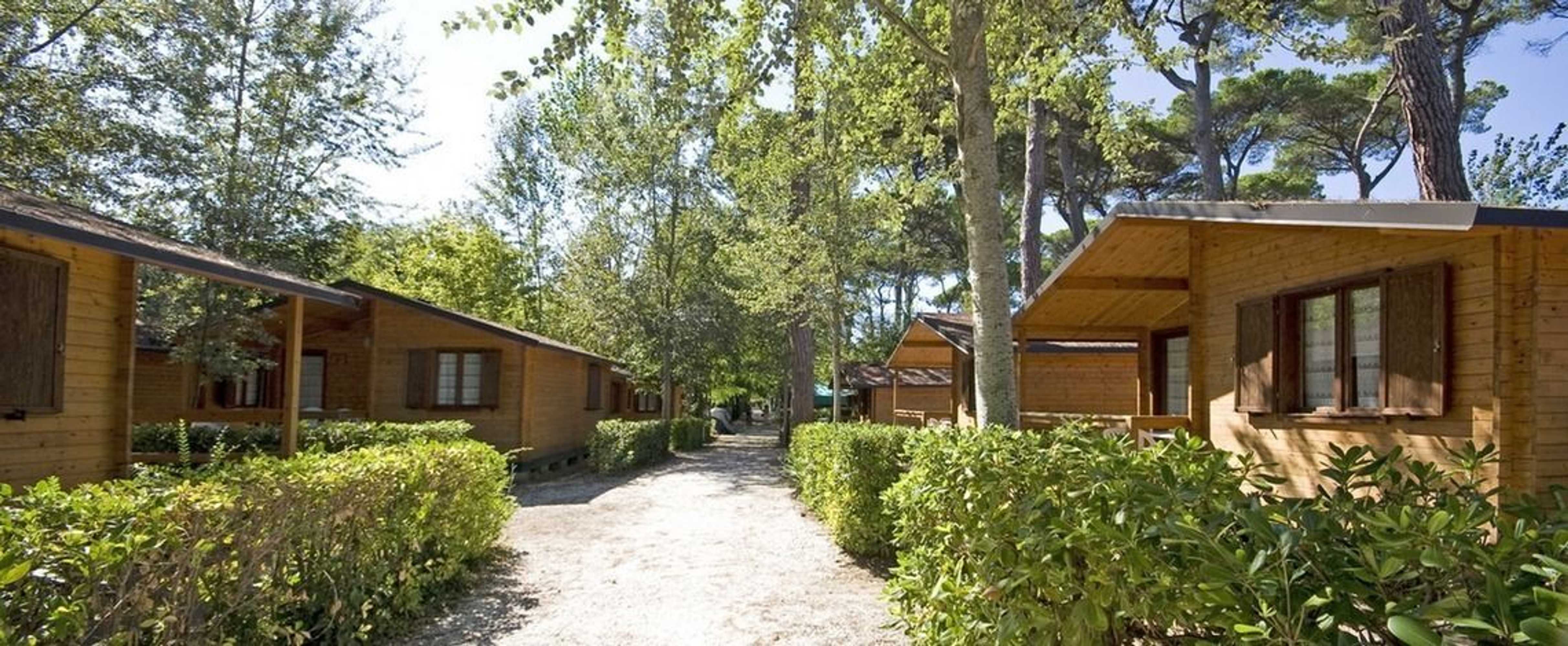 Gift card for Bosco Verde Camping Gift card for Bosco Verde Camping
