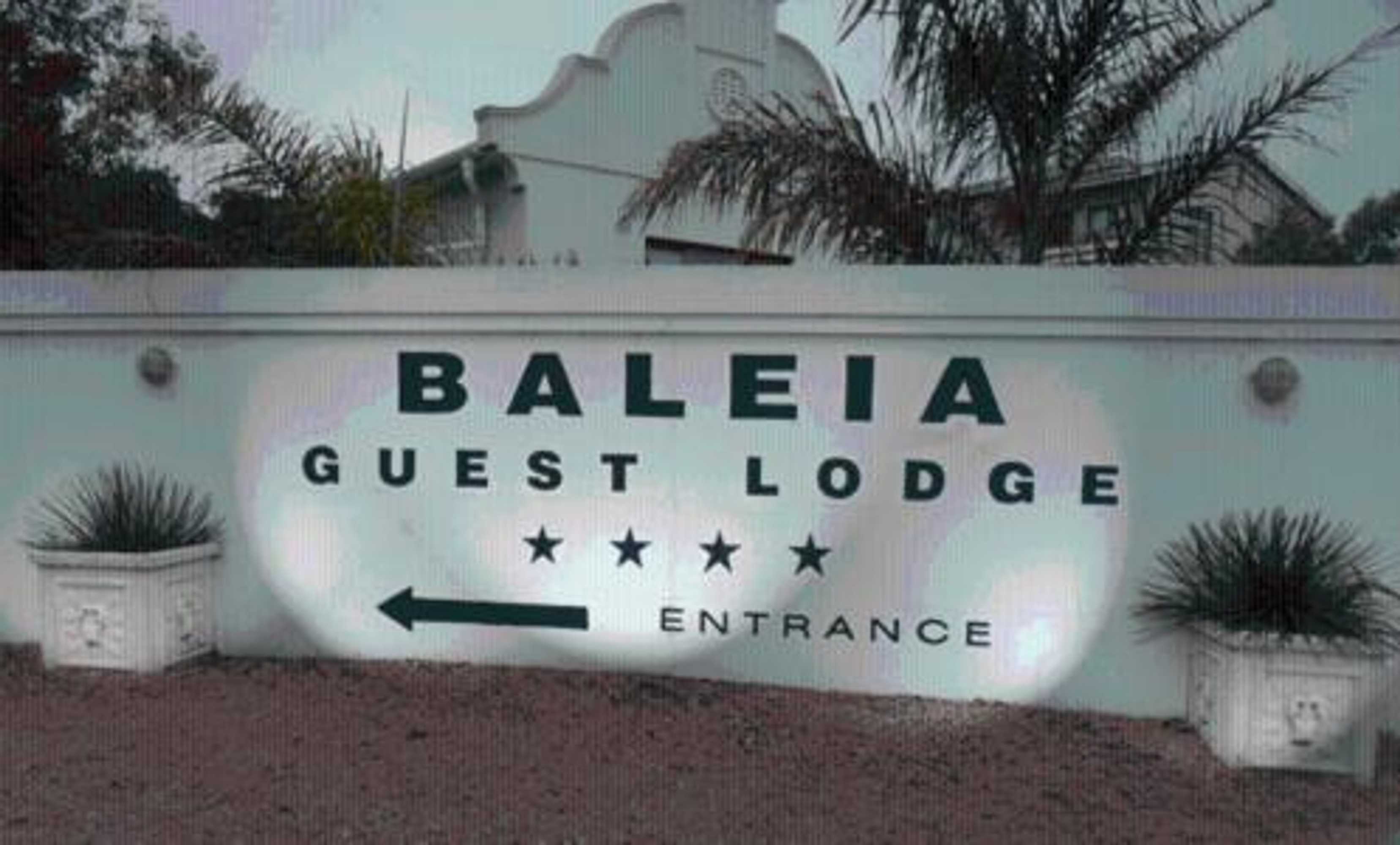 Gift card for Baleia de Hermanus