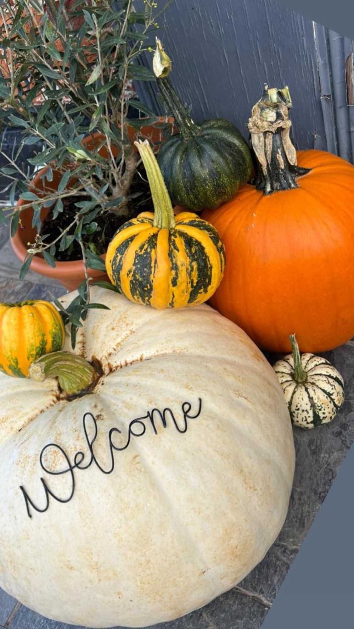 Gift card for The Bell Inn