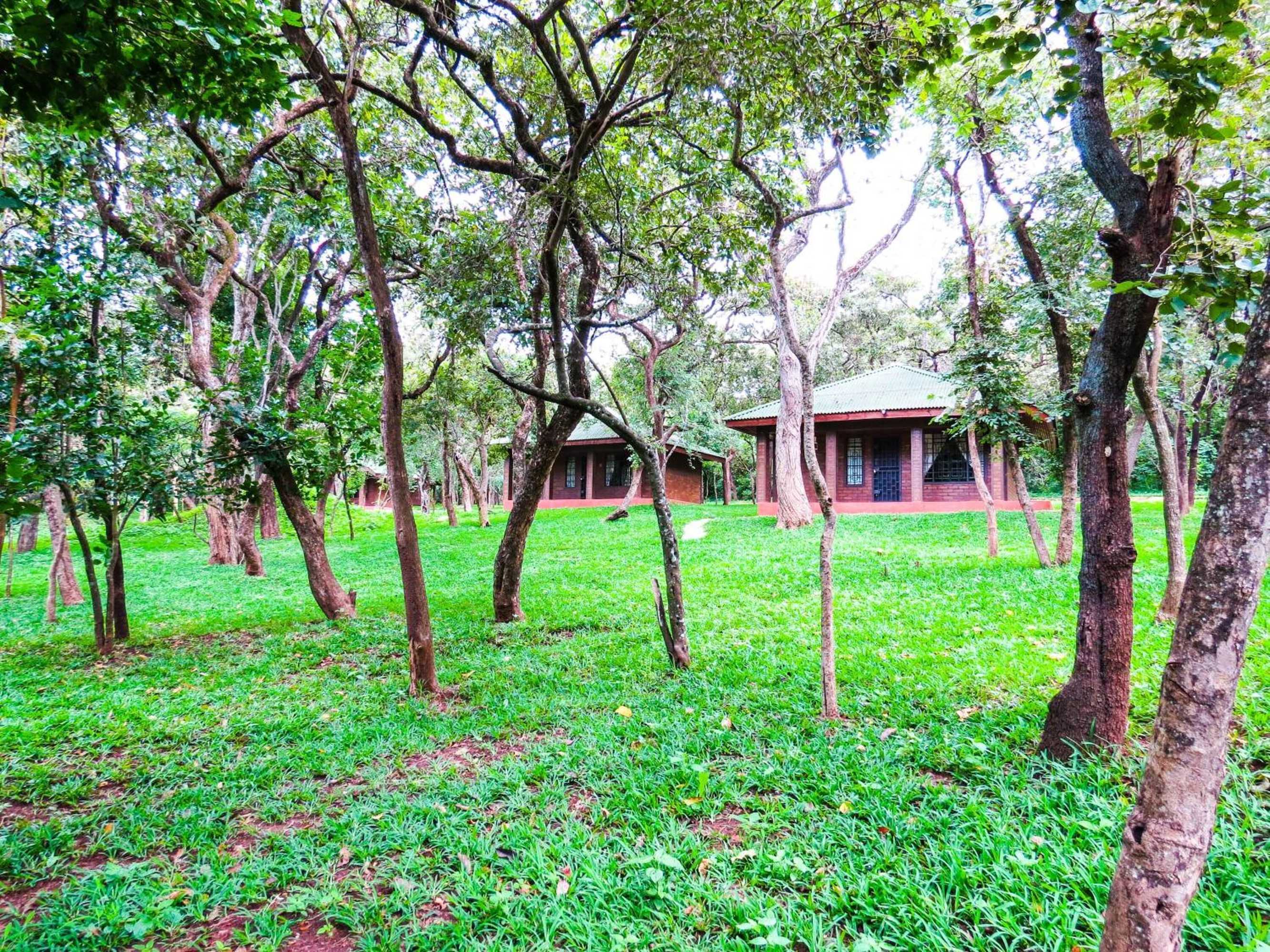 Gift card for Woodlands Lilongwe Gift card for Woodlands Lilongwe