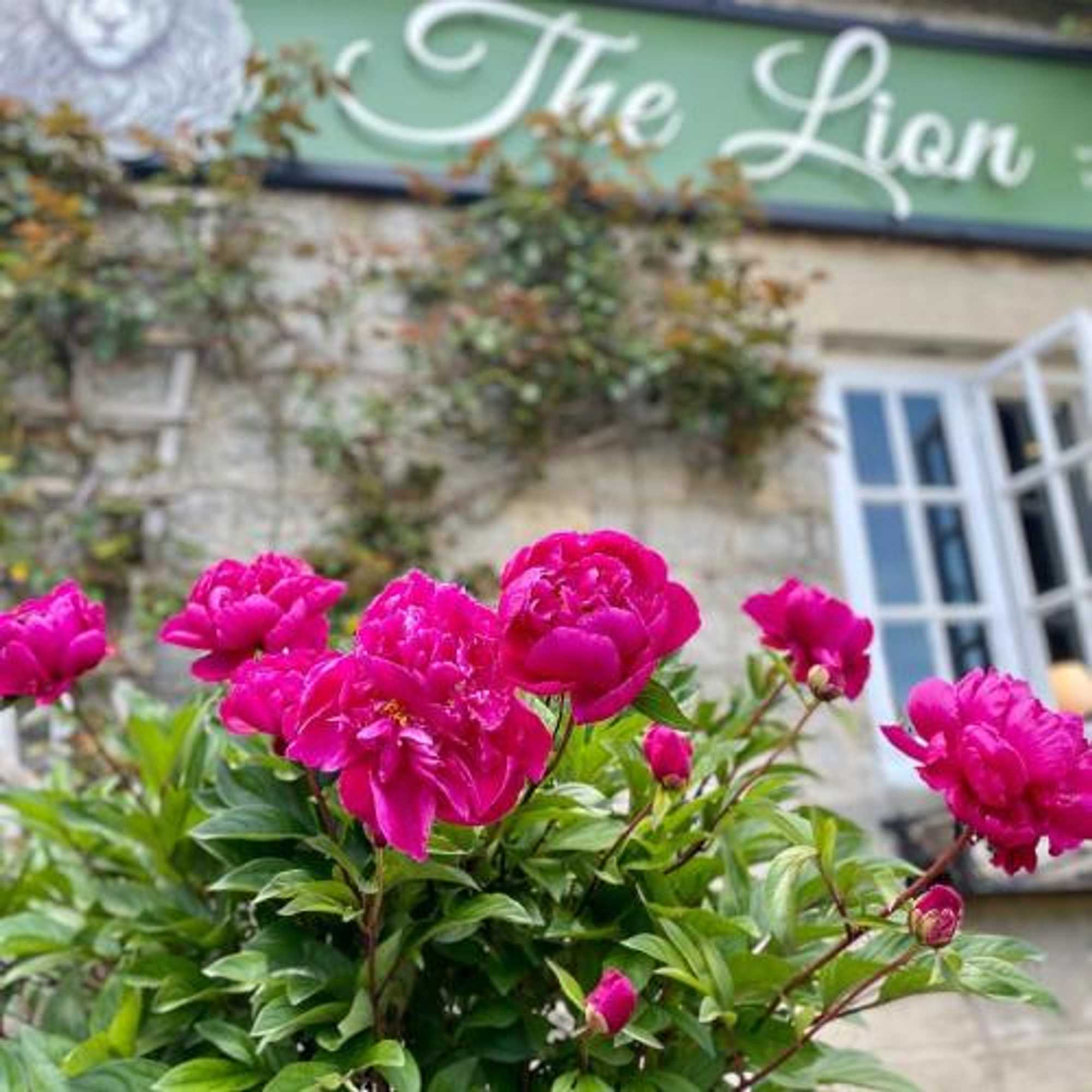 Gift card for The Lion at West Pennard Gift card for The Lion at West Pennard