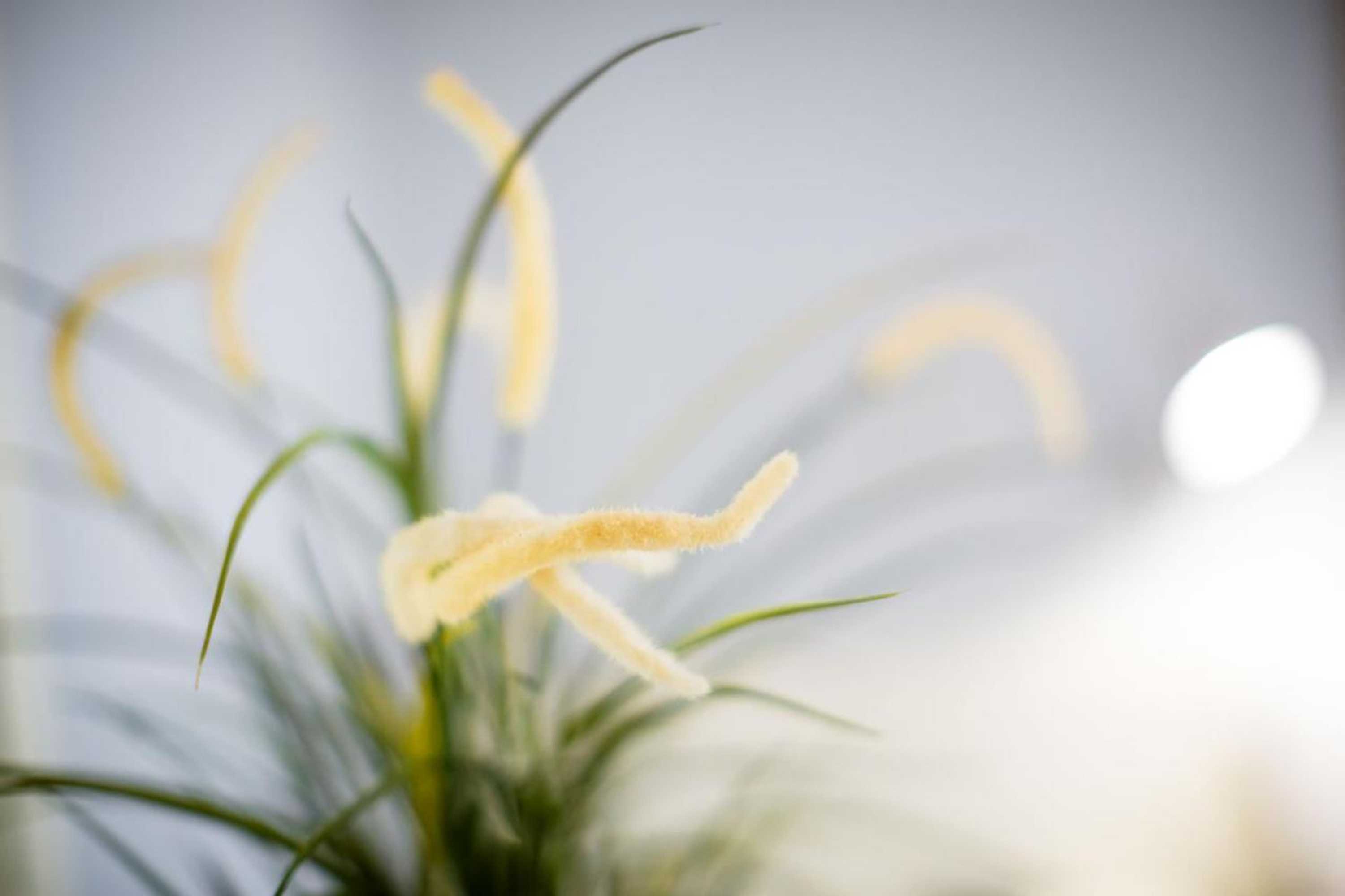 Gift card for Hotel Conchiglia