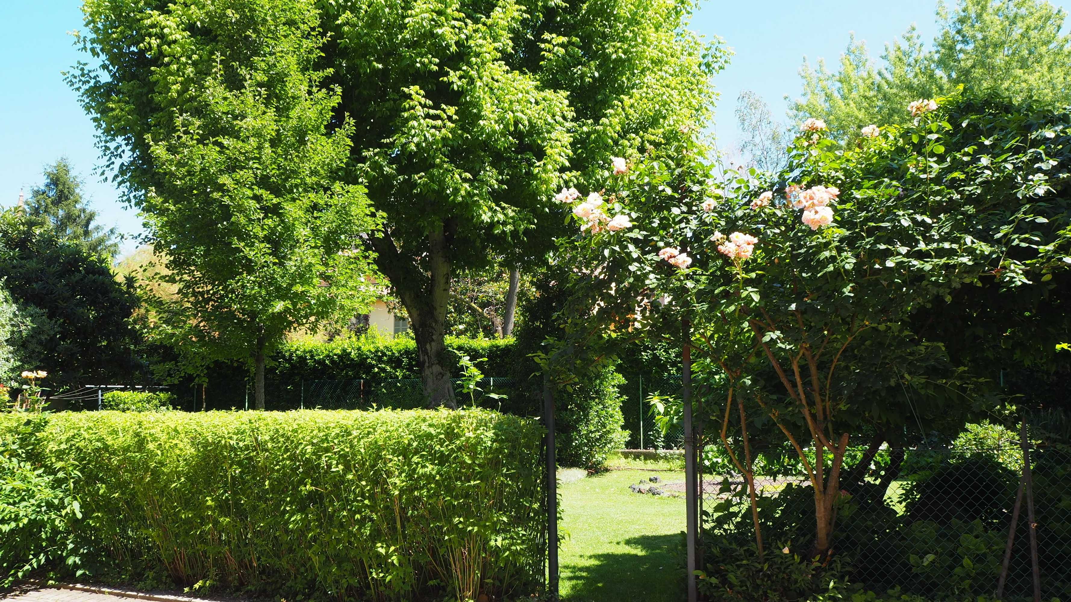 Gift card for Giardino 34