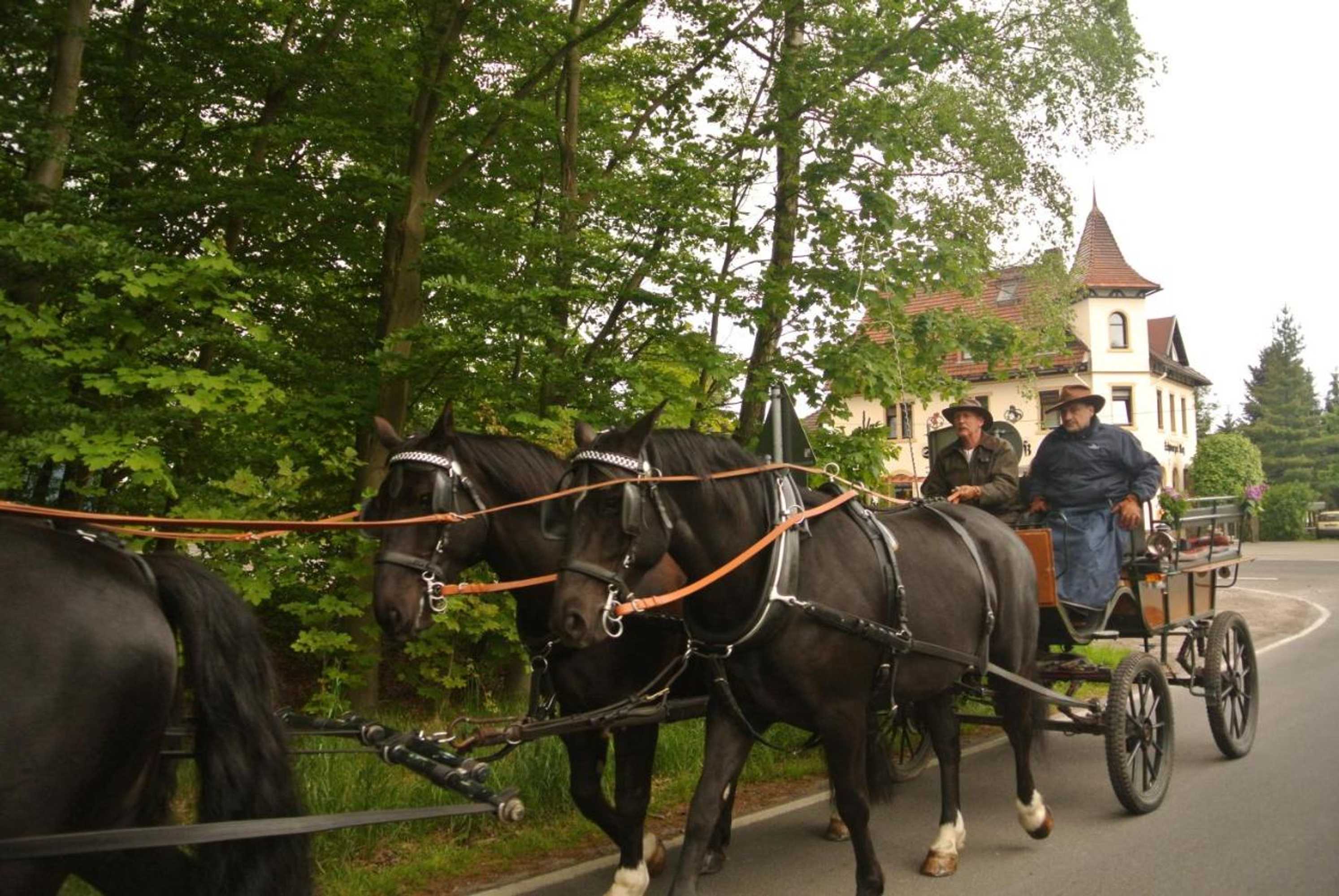 Gift card for Schwarzes Ross