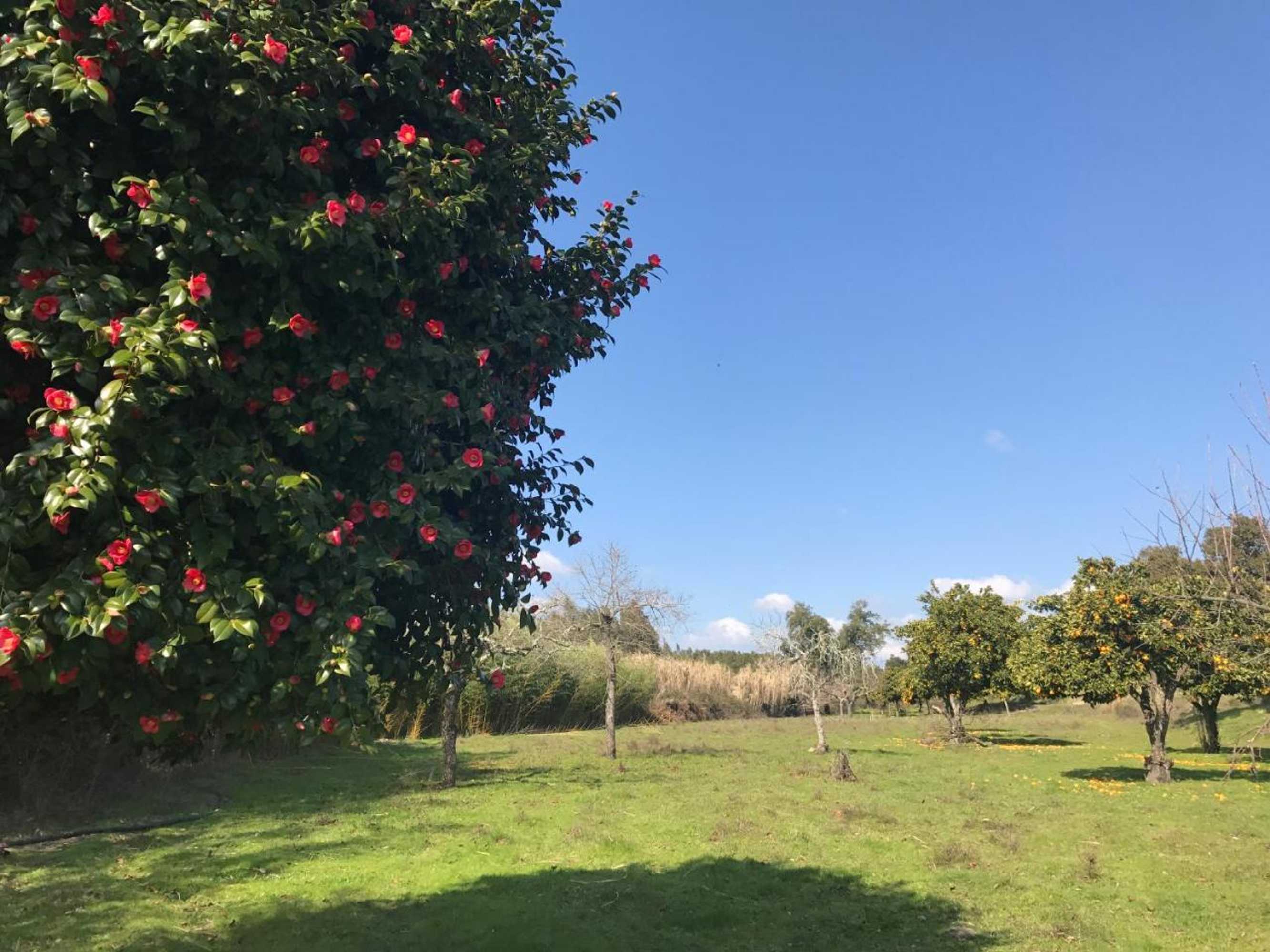 Gift card for Monte Das Texugueiras - Adults Only