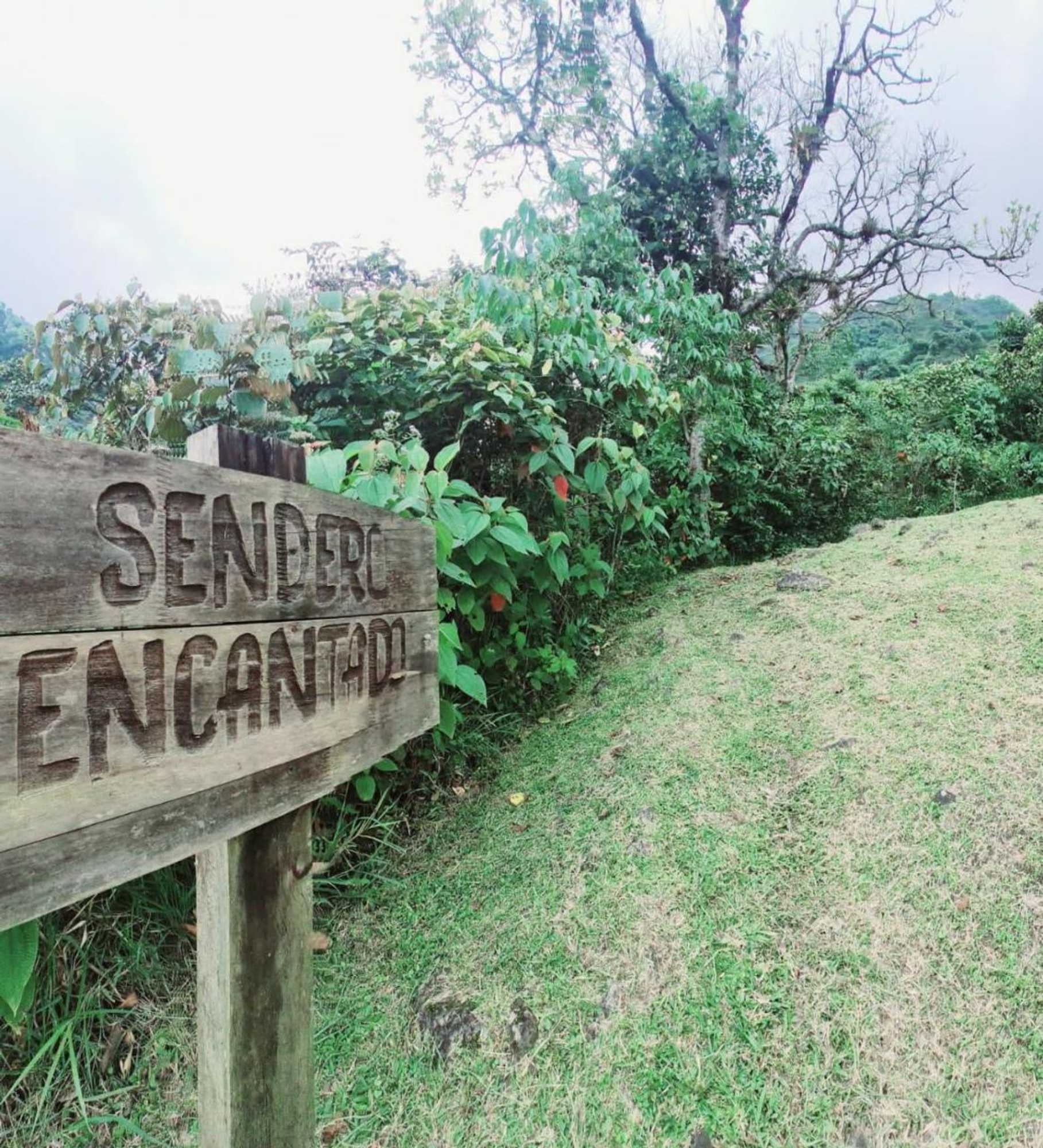 Gift card for Hospedaje Pance Arí Munani Reserva Natural Gift card for Hospedaje Pance Arí Munani Reserva Natural