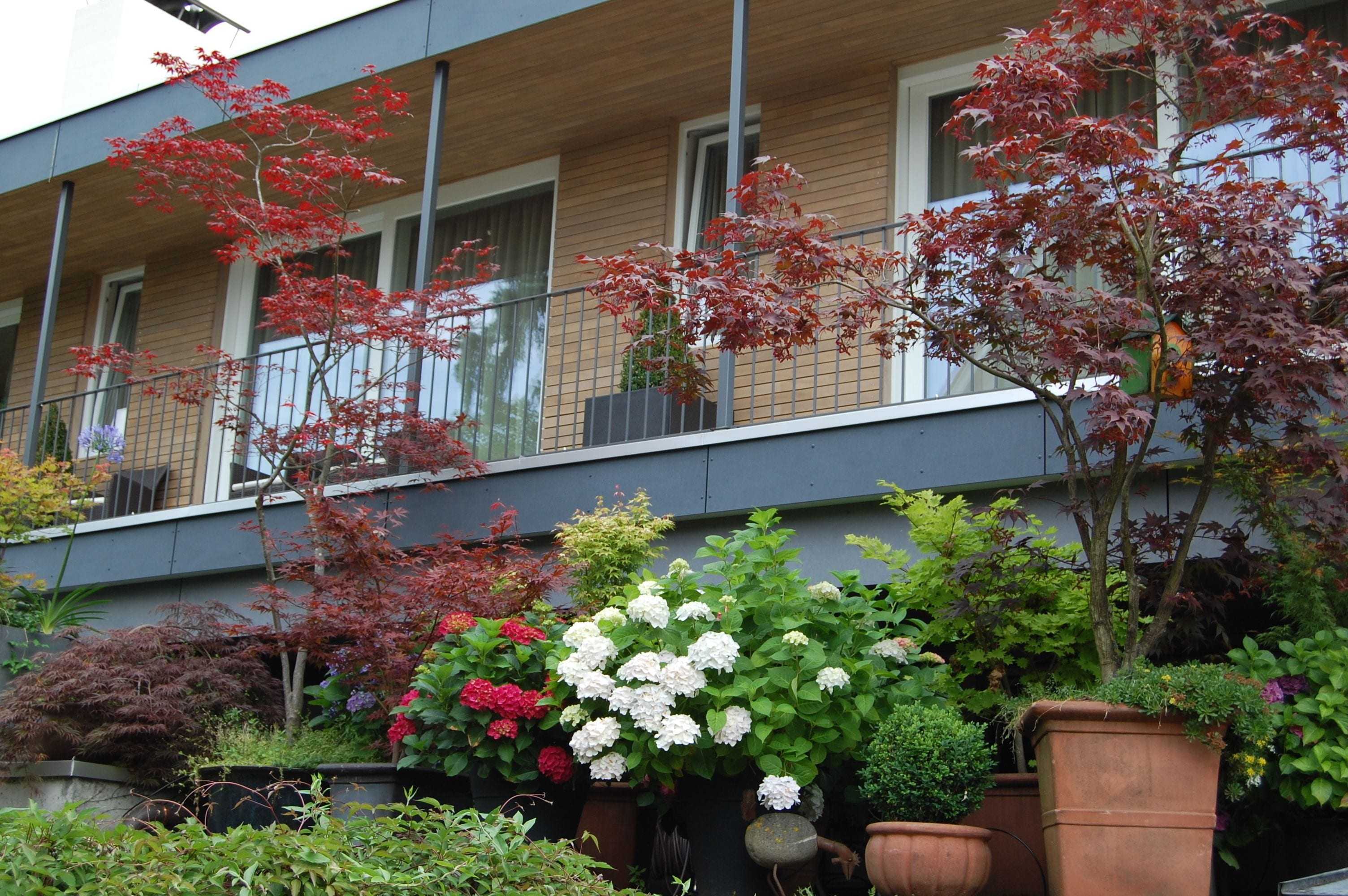 Gift card for Der Loewen