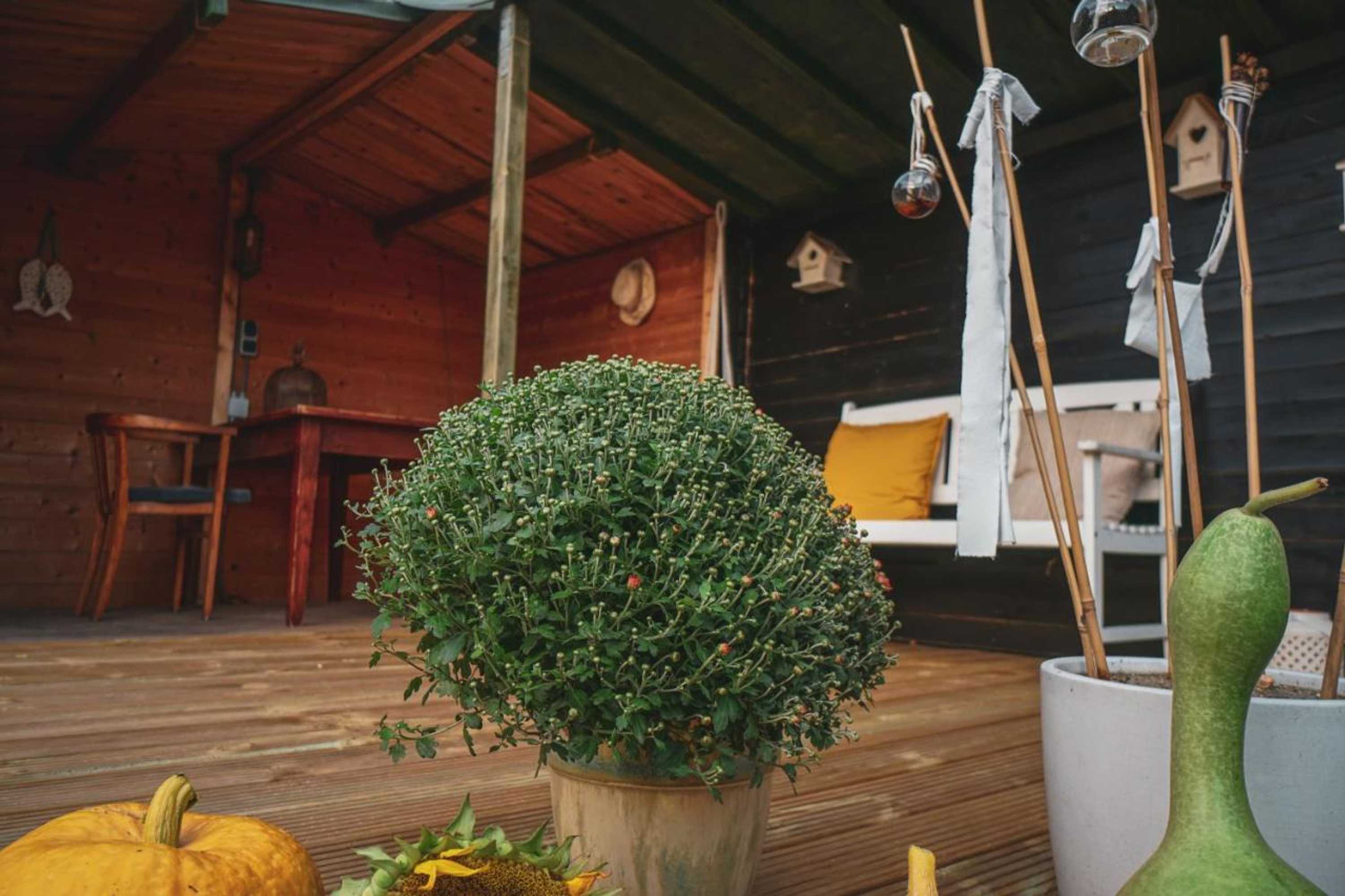 Gift card for Bed & Breakfast Bloemen Vertellen