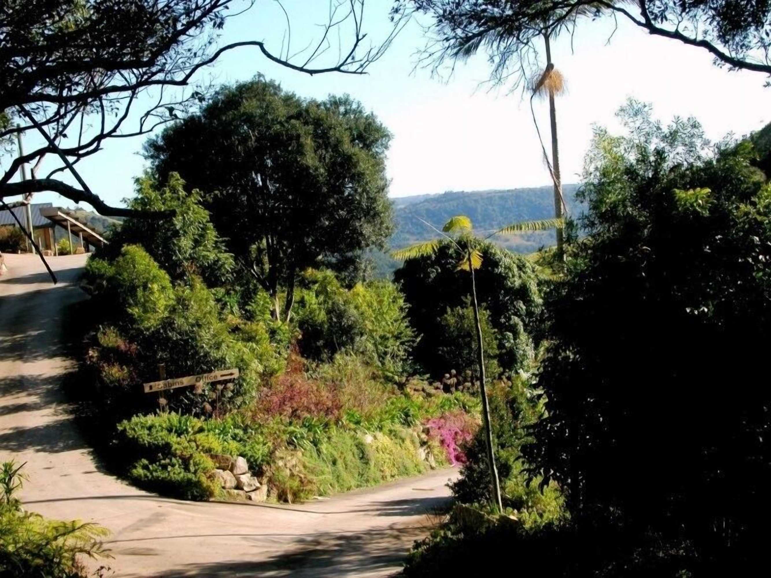 Gift card for Top of The Hill Gift card for Top of The Hill