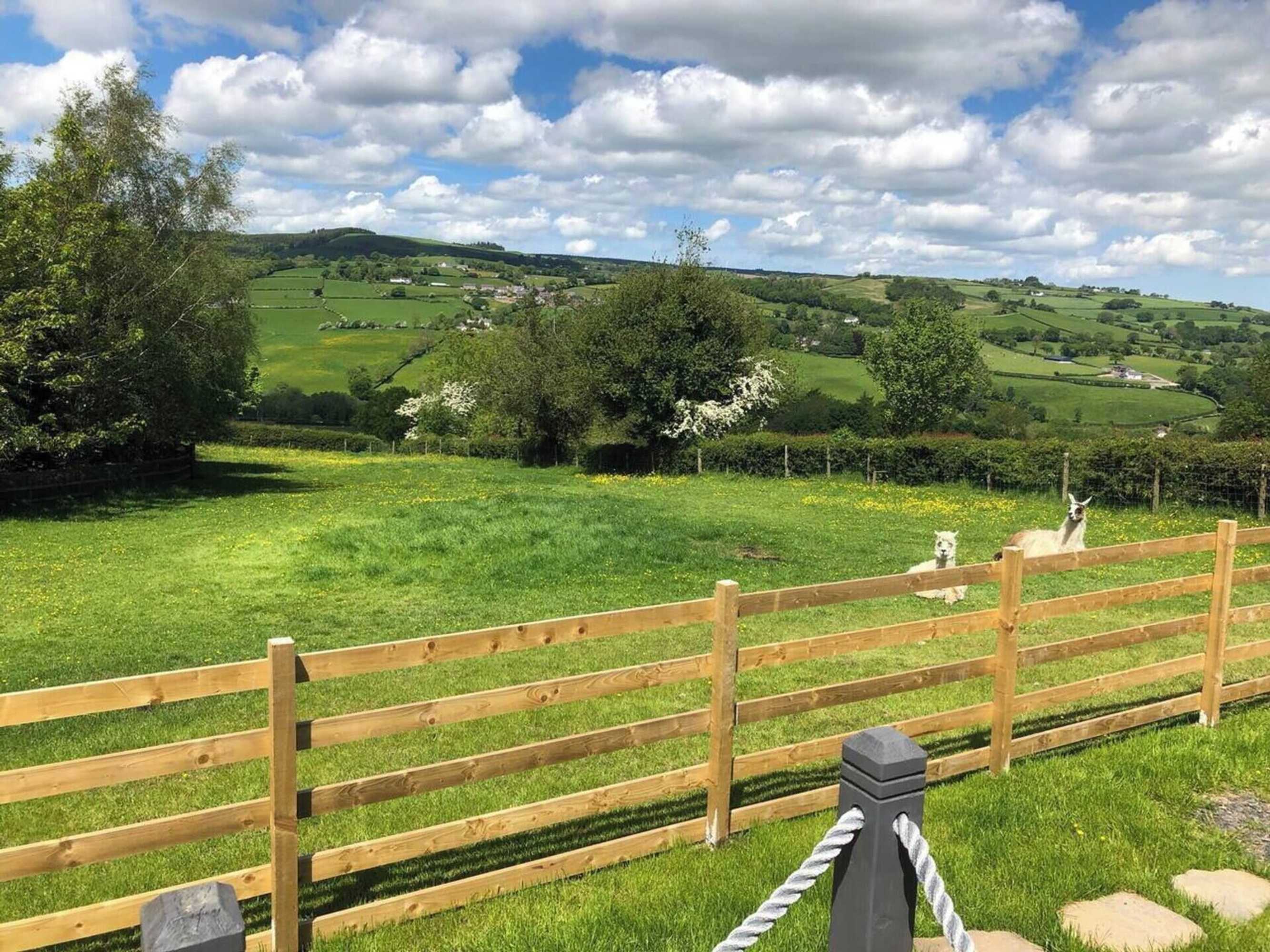 Gift card for The Shepherds Hut at Hafoty Boeth